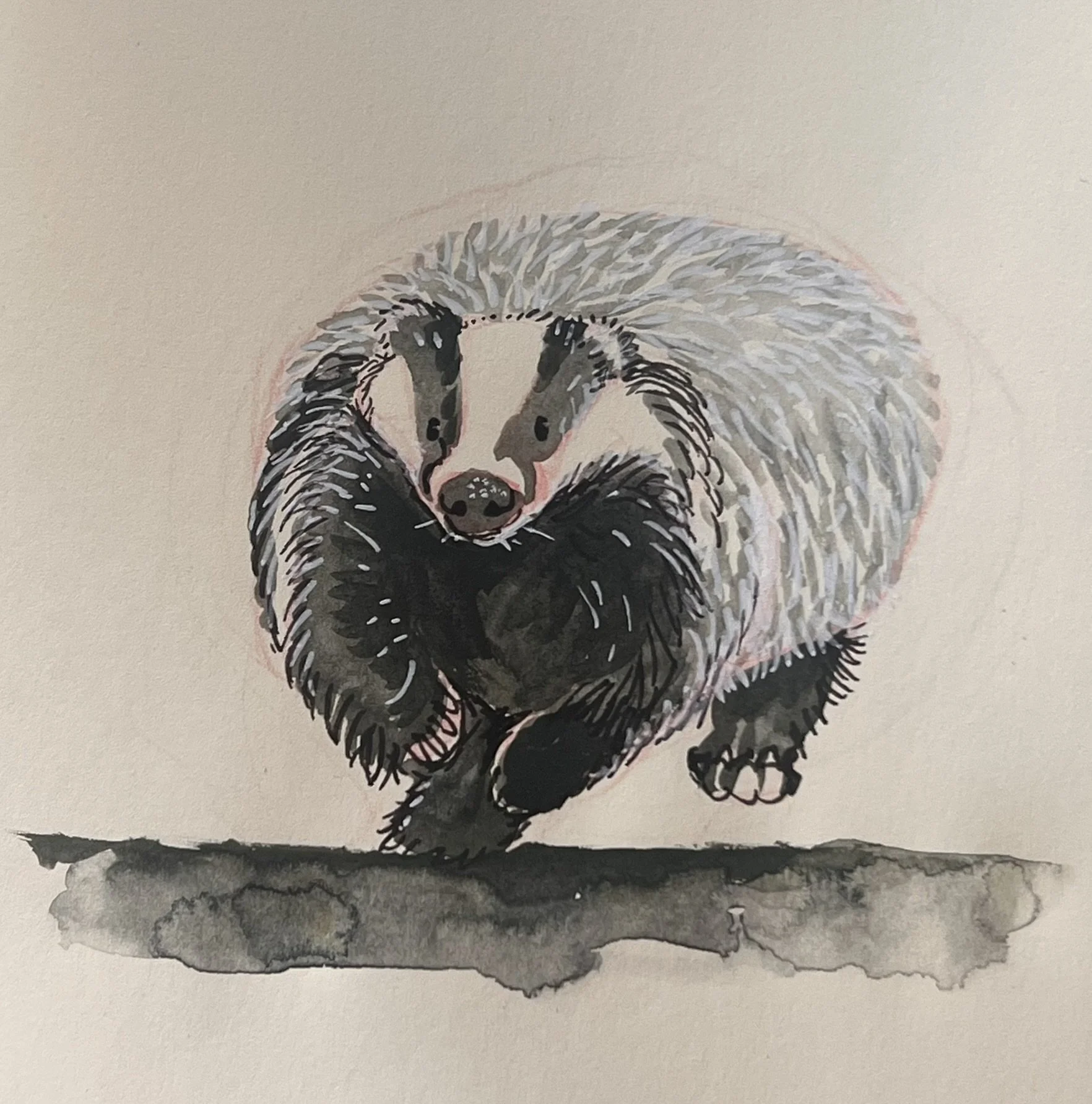 Painting of a badger with a neutral background.