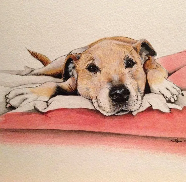 Drawing of a relaxed dog lying on a blanket, resting its head on paws, with a neutral background.
