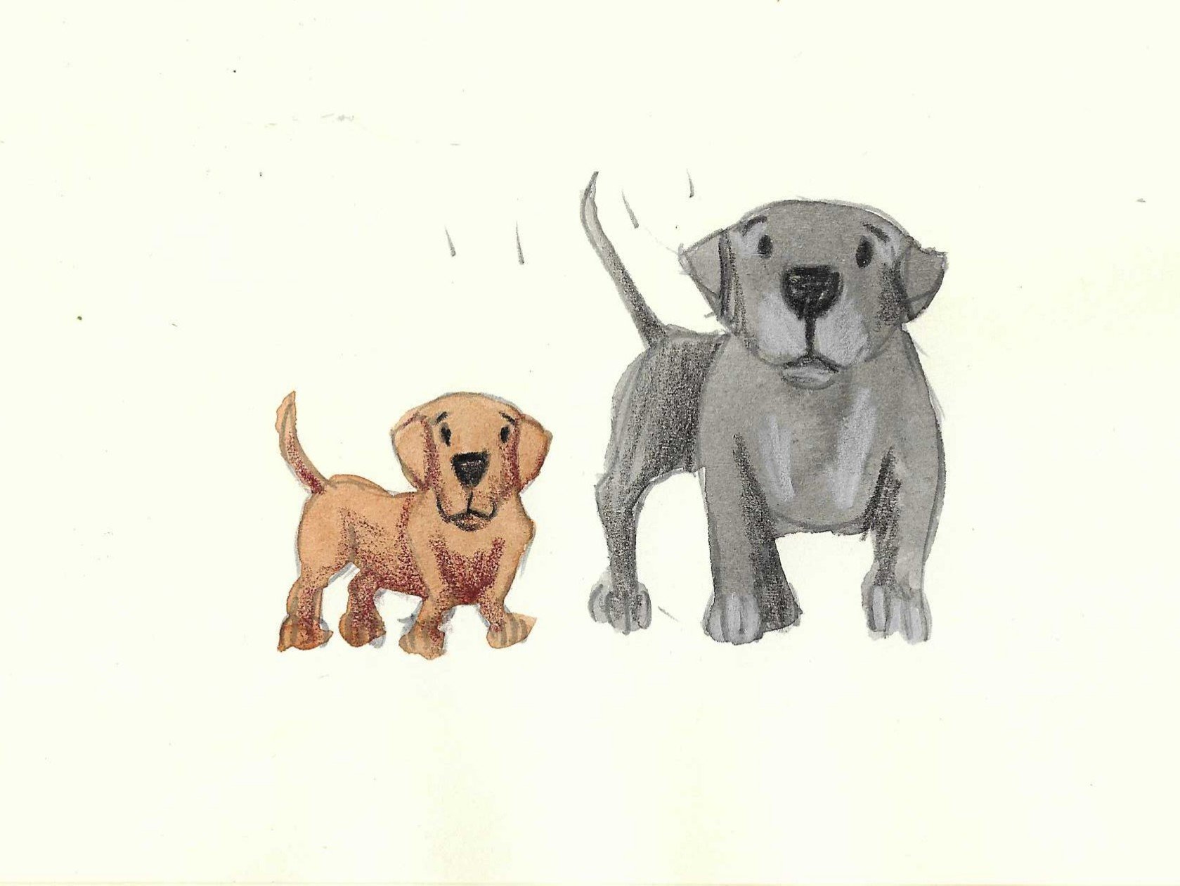 Hand-drawn illustration of two dogs with a light background. A smaller, brown puppy with floppy ears on the left and a larger, gray adult dog with a darker face on the right.