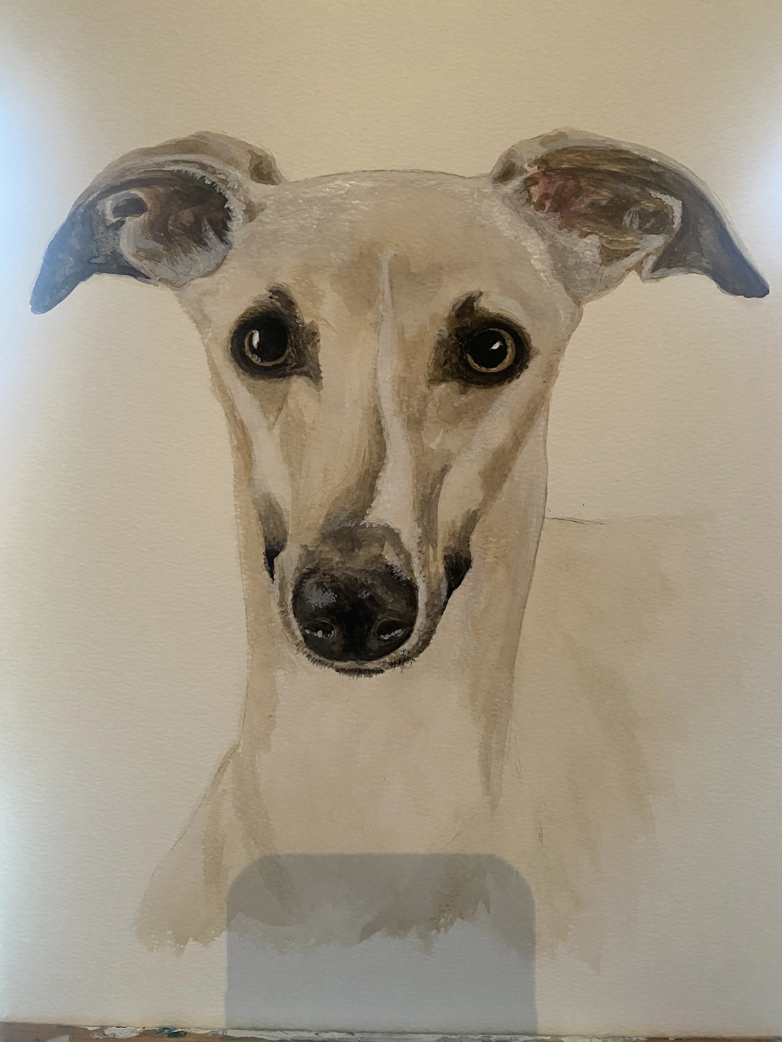 Painting of a dog's head, with large eyes, ears that fold over, and a thin neck, on a white background.
