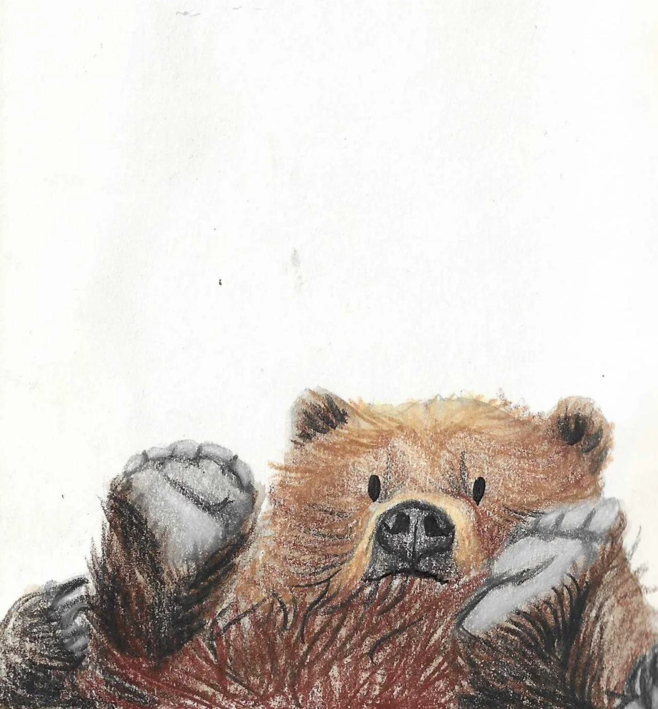 Watercolor illustration of a brown bear lying on its back with paws raised, on a light background.