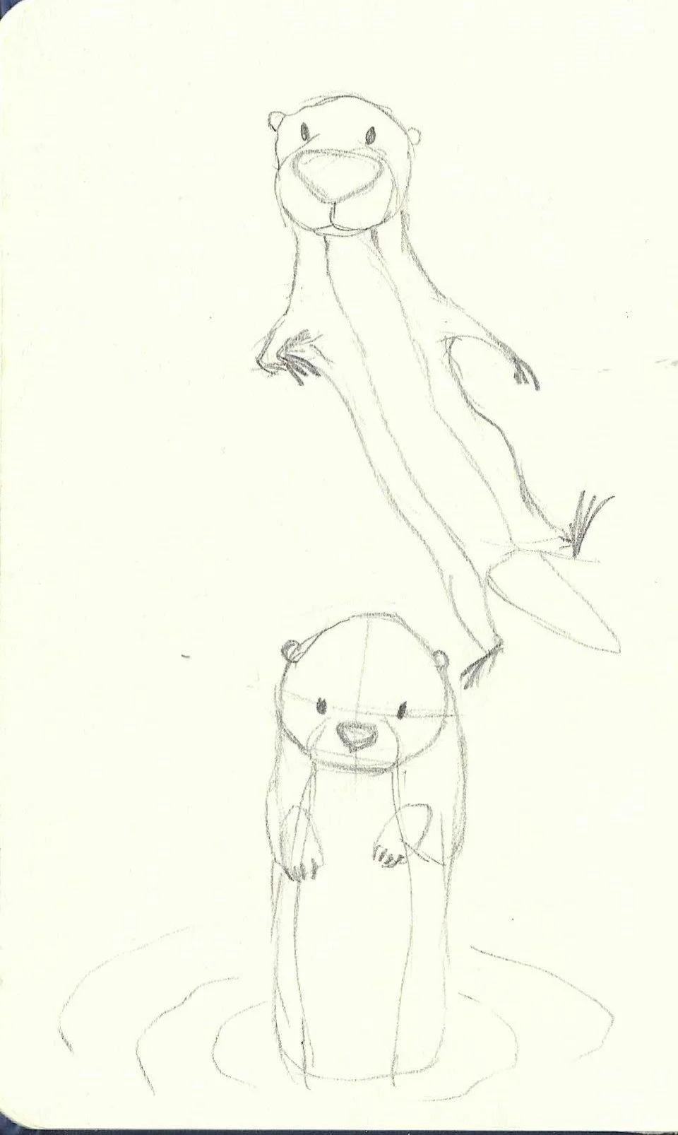 Hand-drawn sketch of 2 otters