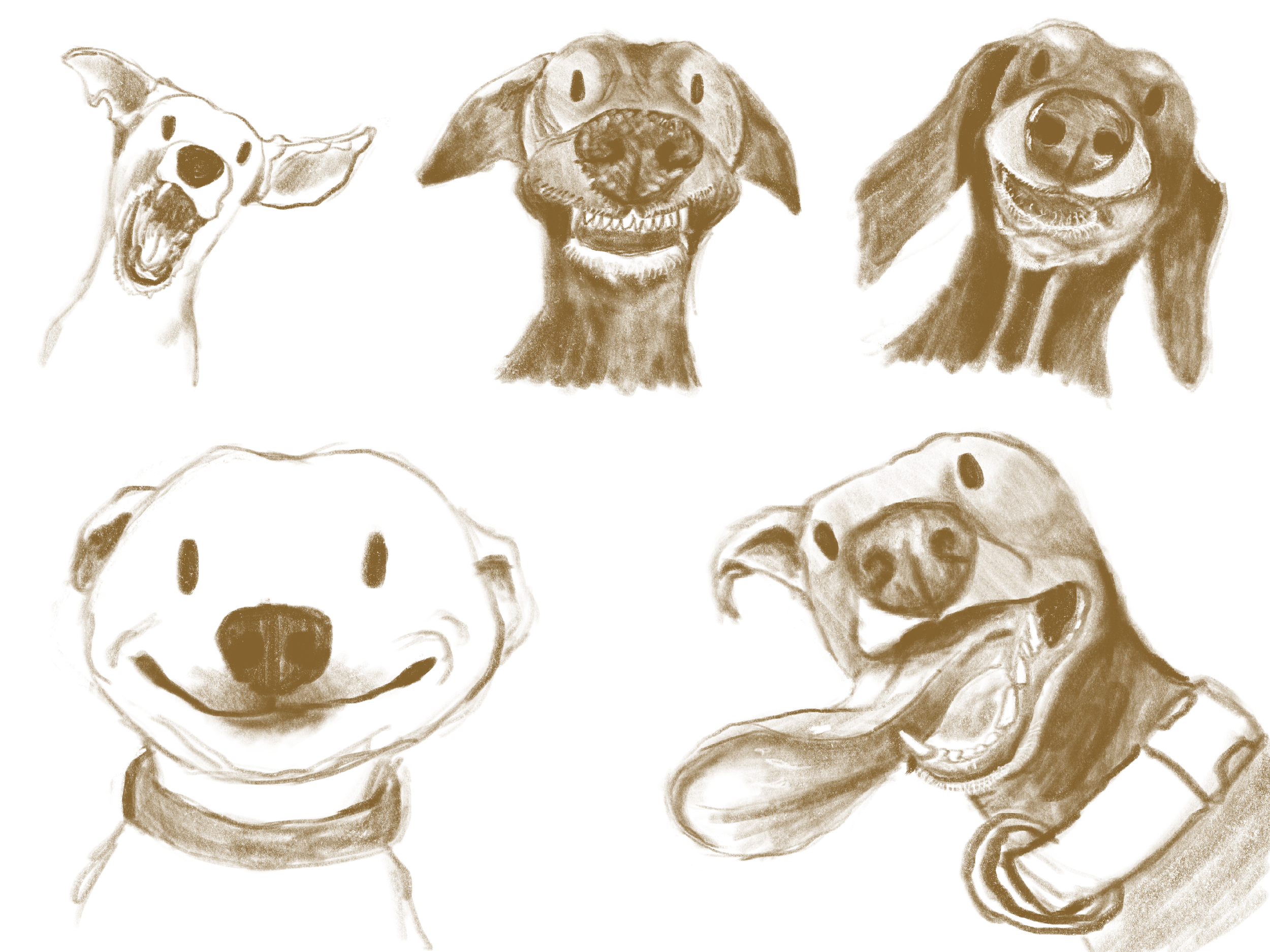 Sketch of five dogs, one with an open mouth, one smiling, and another with a neutral expression.