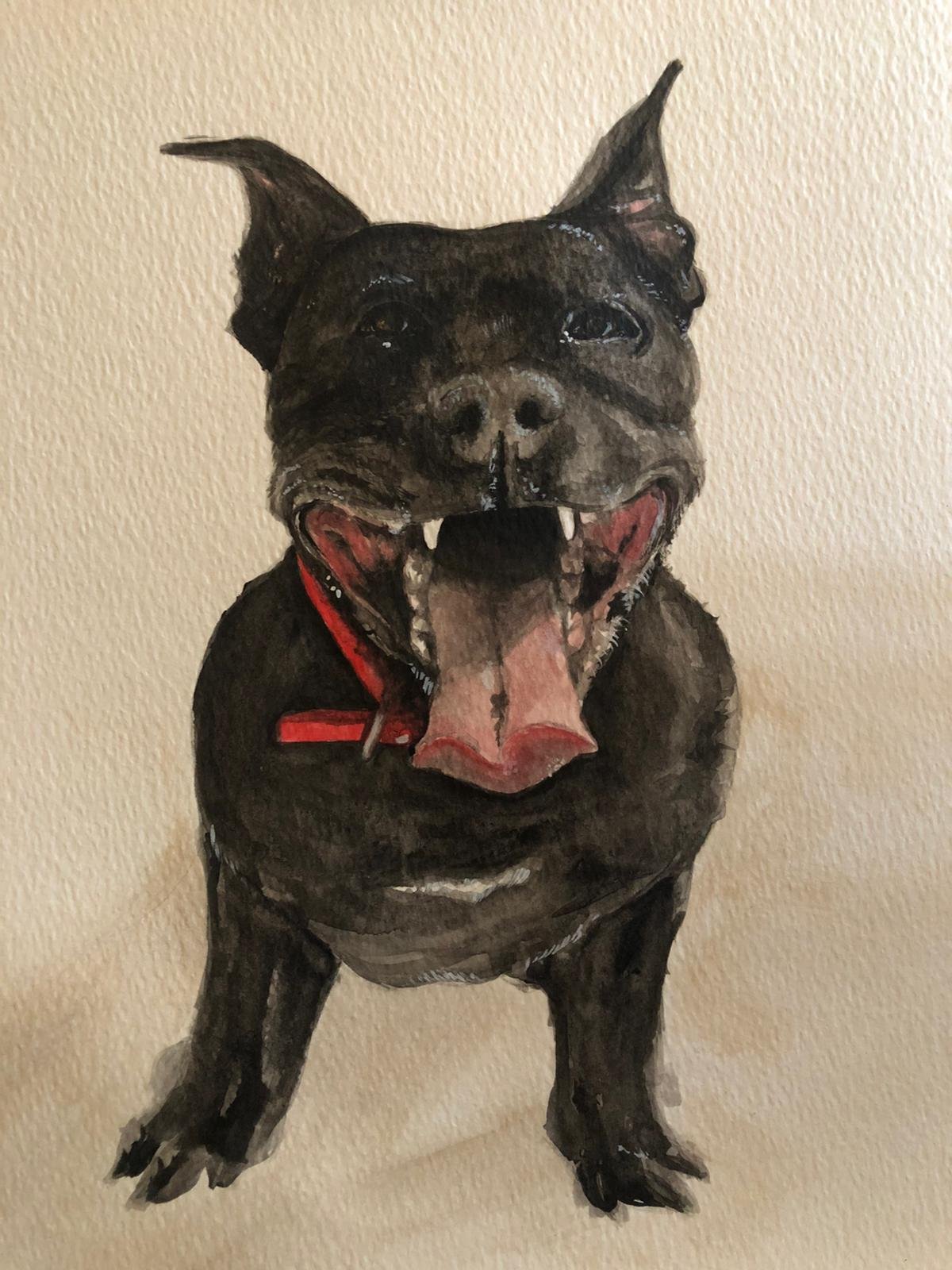 Painting of a happy black dog with its tongue out, wearing a red collar, against a beige background.