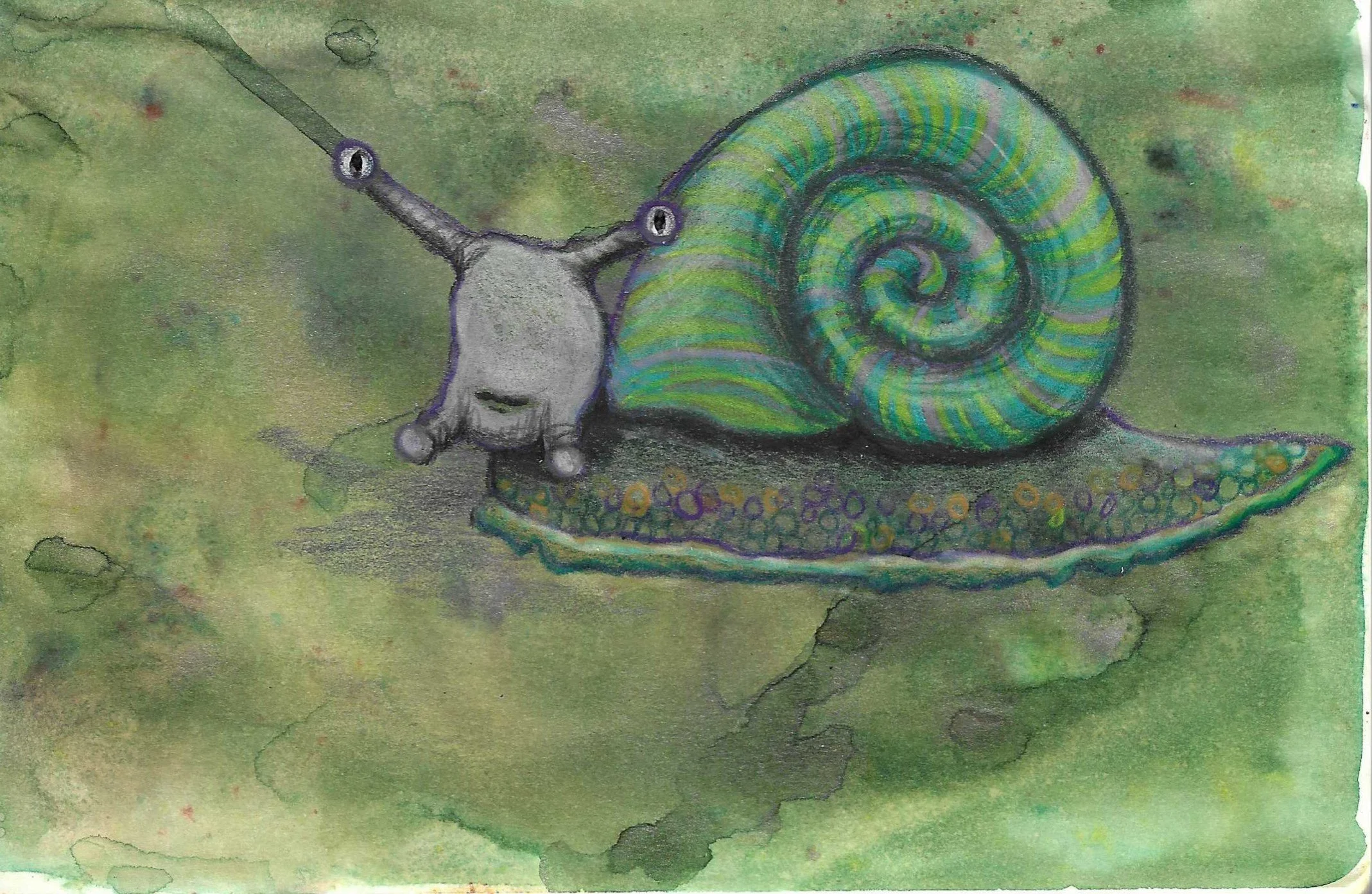 A watercolor painting of a snail with large eyes on antennae, a gray body, and a vibrant, multicolored shell, on a green background.