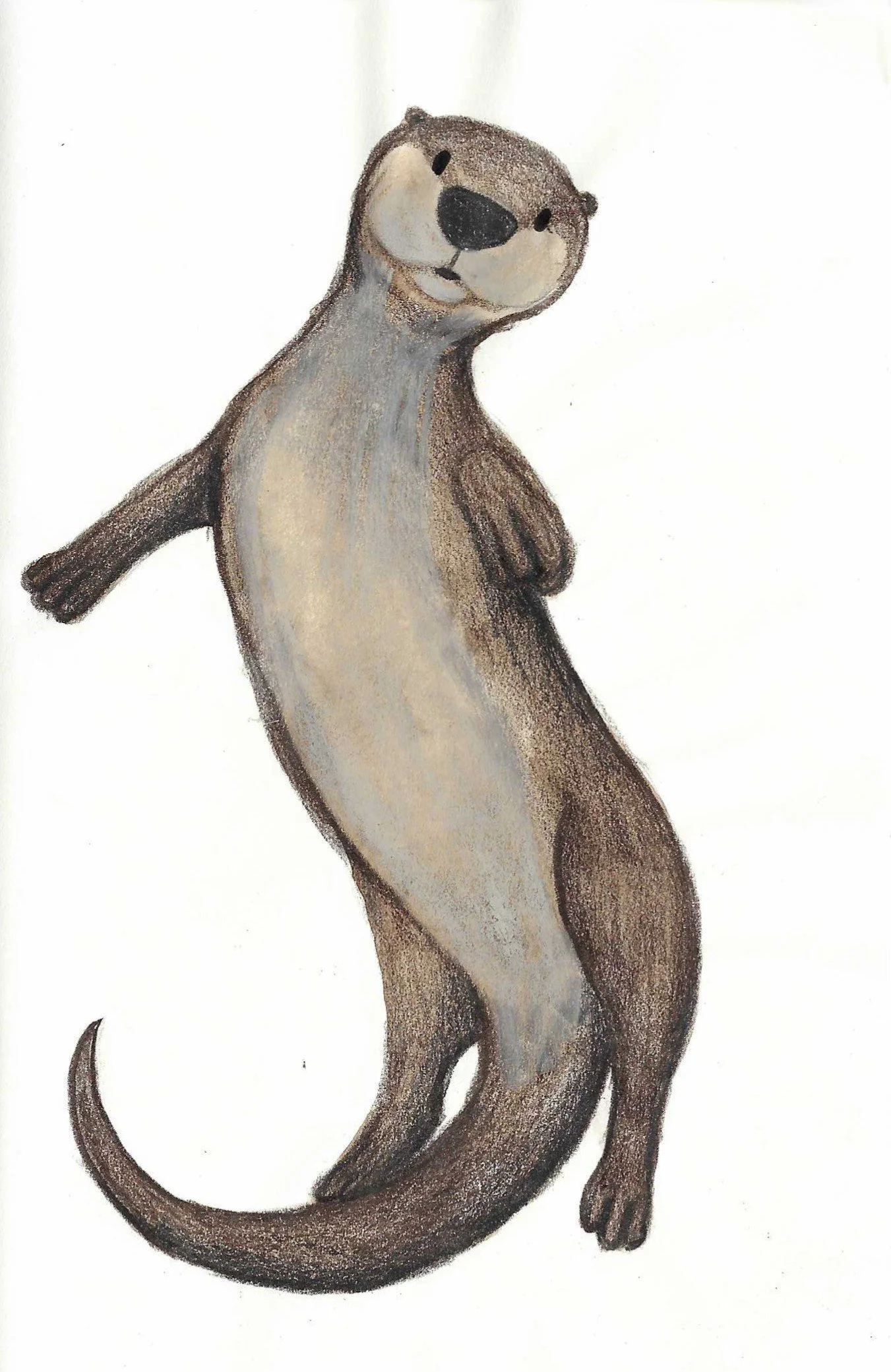 A detailed illustration of an otter standing upright on its tail, with a mix of brown and beige fur, and a black nose.