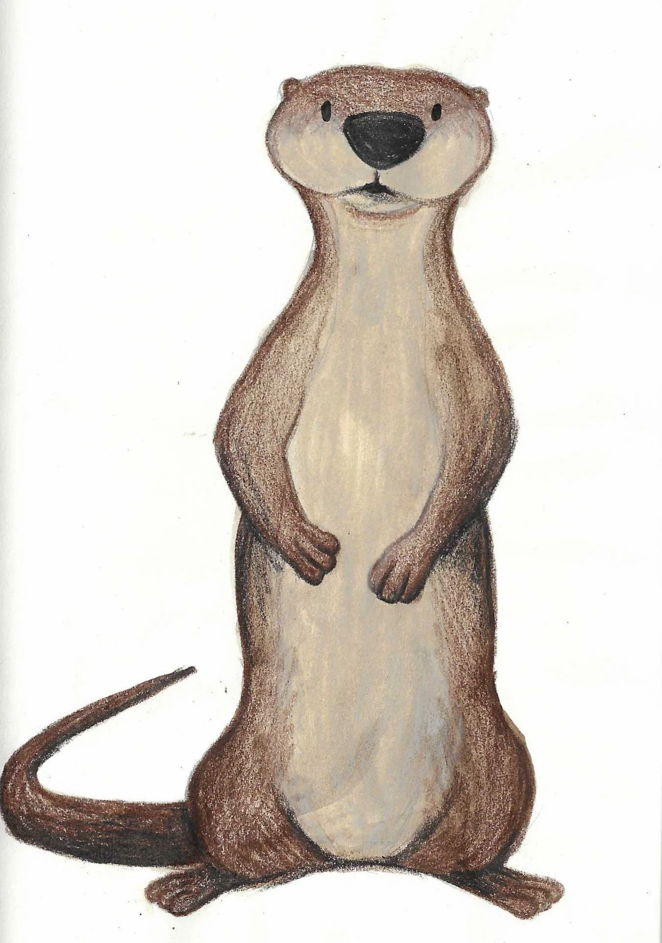 Illustration of a standing otter with a light brown body, darker brown limbs, and a long tail, against a white background.