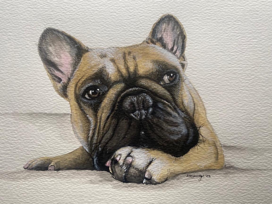 Watercolour painting of a French Bulldog lying down with head resting on paws, looking forward.