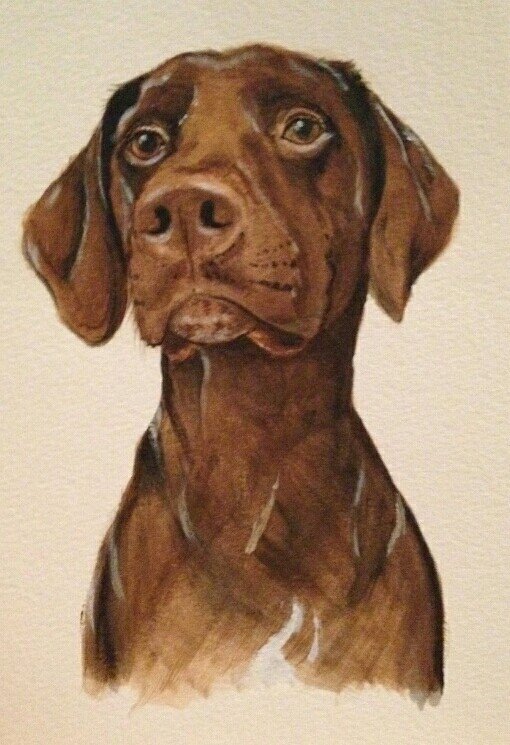 A painting of a brown dog, likely a Labrador Retriever, with expressive eyes and floppy ears.