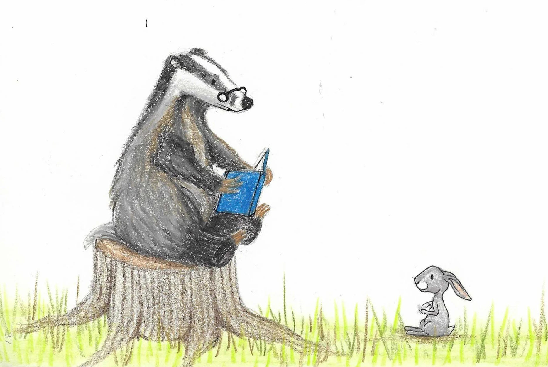 Drawing of a badger in spectacles sitting on a tree stump, reading a blue book, with a small grey rabbit sitting on the grass nearby.