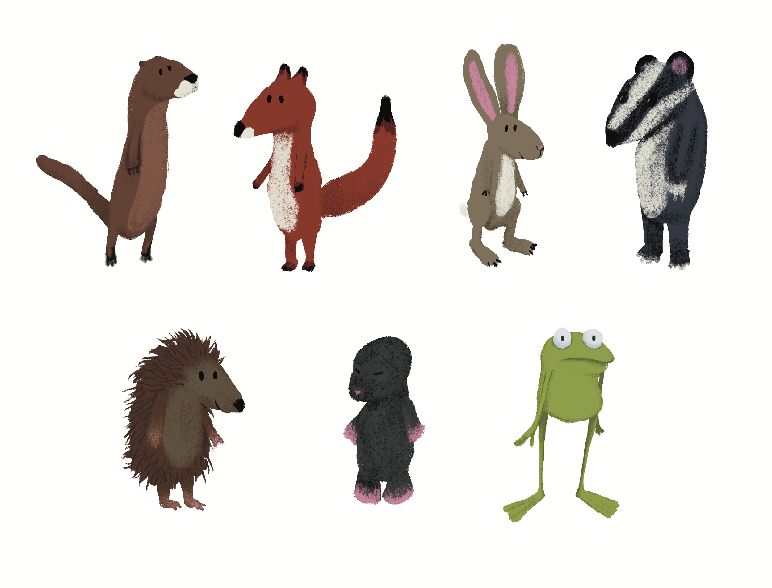A collection of illustrated woodland animals, including an otter, badger, fox, hare, zebra, hedgehog, mole, frog, arranged against a white background.
