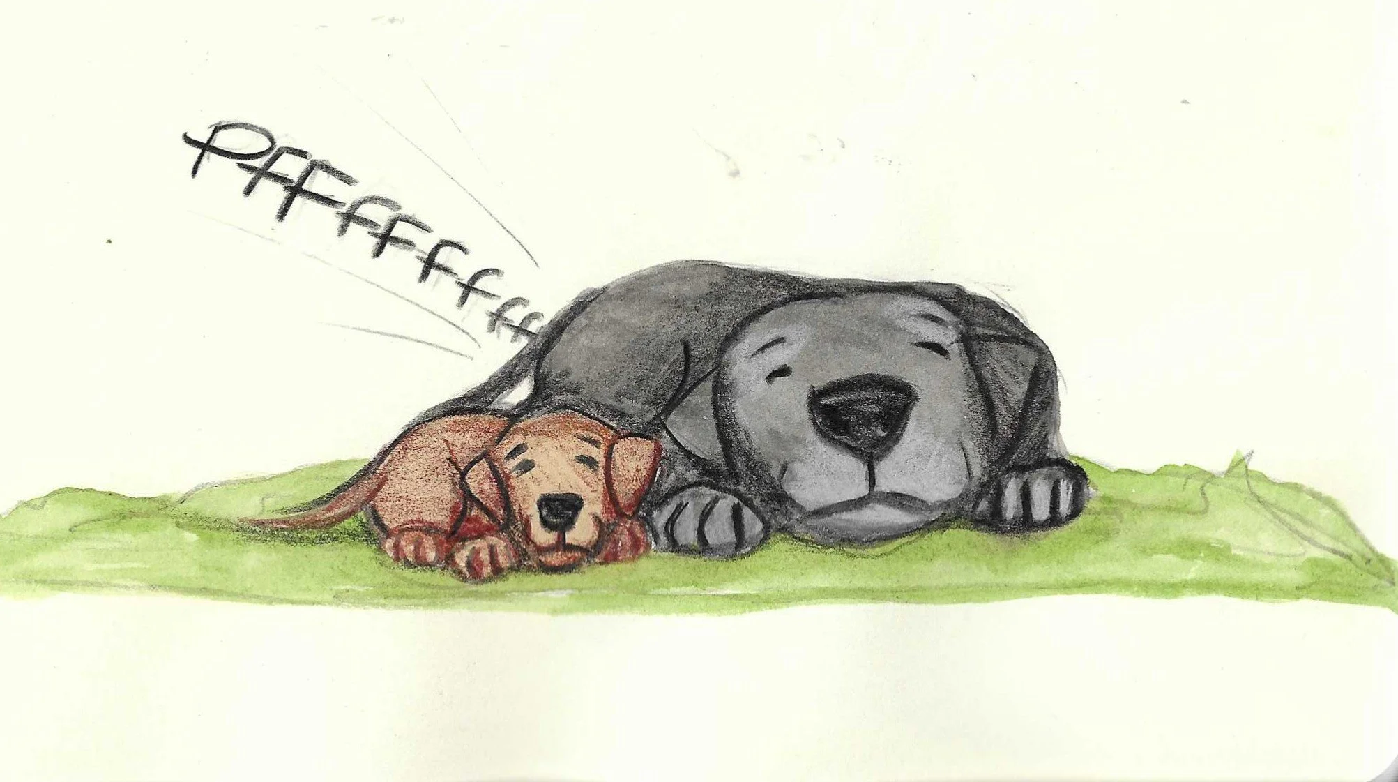 A coloured drawing of a happy gray puppy and a smaller brown puppy lying on green grass, both sleeping.