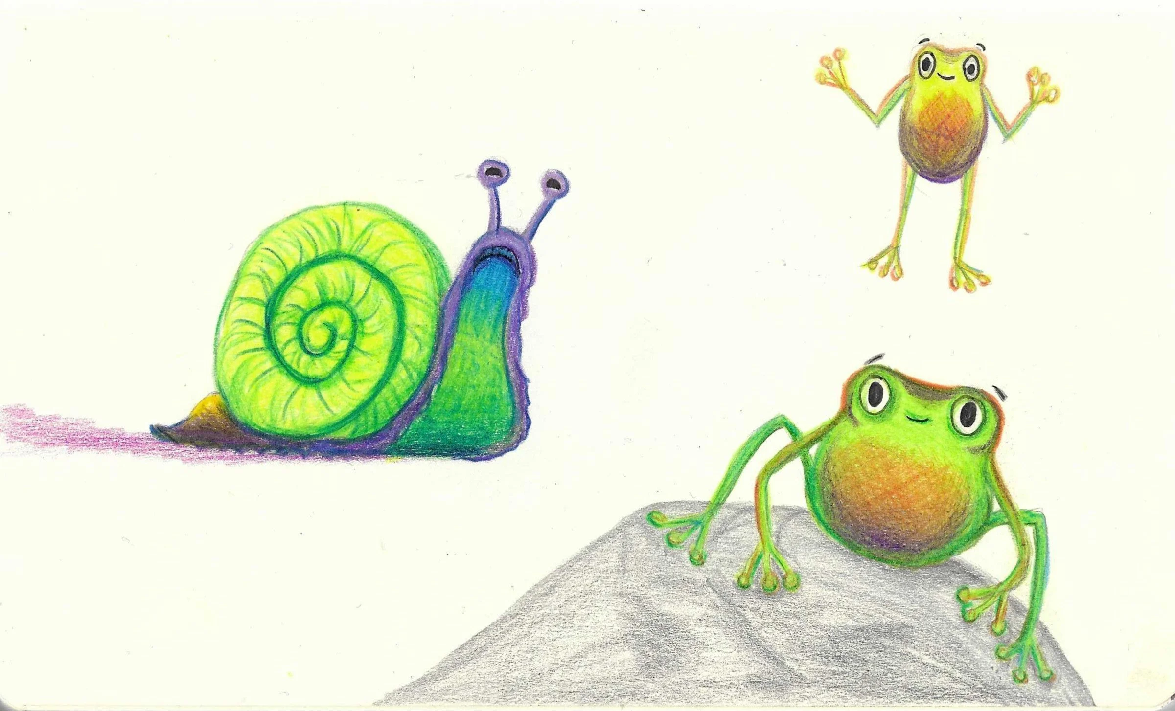 Colored pencil drawing of a snail and two frogs, one frog sitting and the other flying, on a light background.