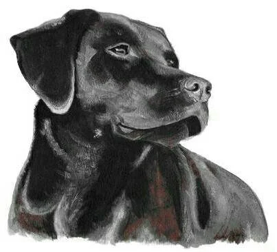 Painting of a black dog with floppy ears, facing to the right.