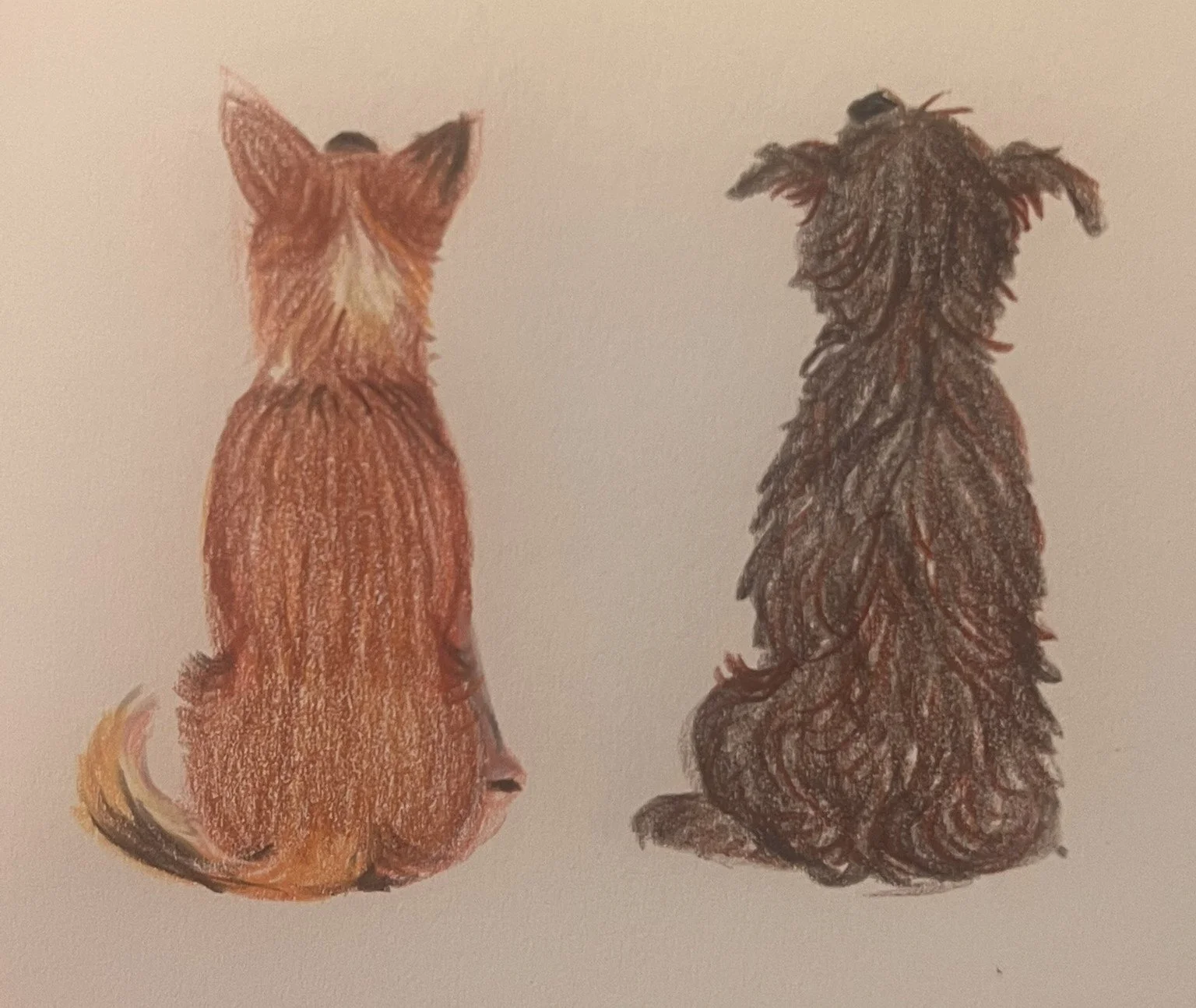 A drawing of 2 dogs from the back, sitting side by side.