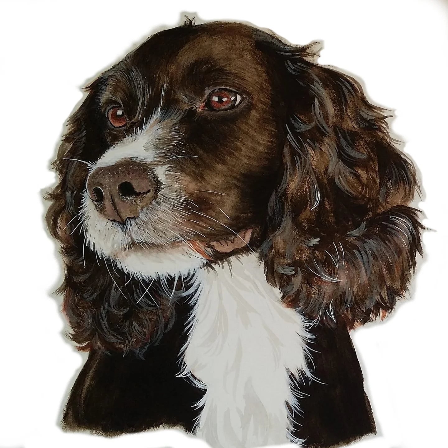 Painting of a brown and white dog with curly fur and long ears, facing slightly to the left.