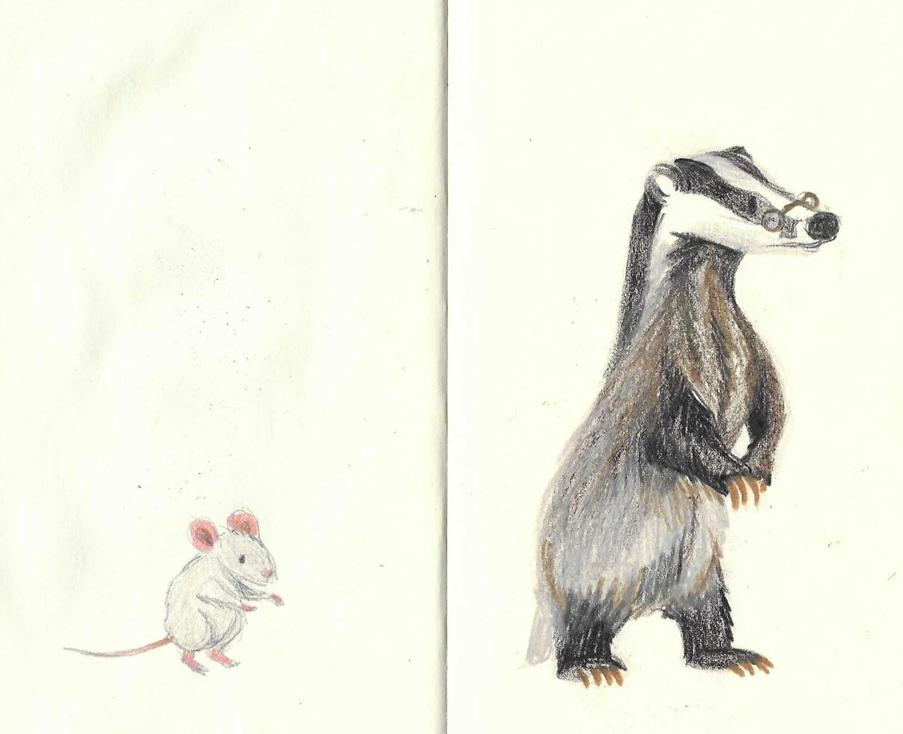 Drawing of a mouse and a badger on a white background.