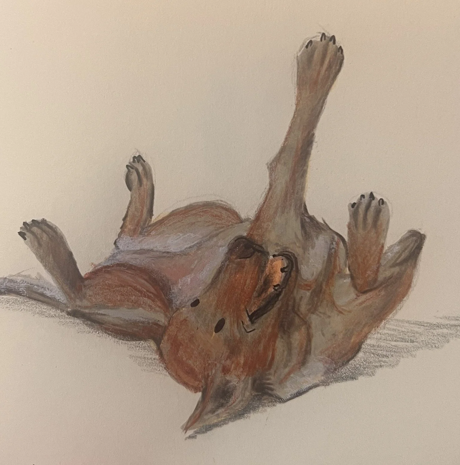 A realistic painting of a dog lying on its back with paws up and eyes closed.