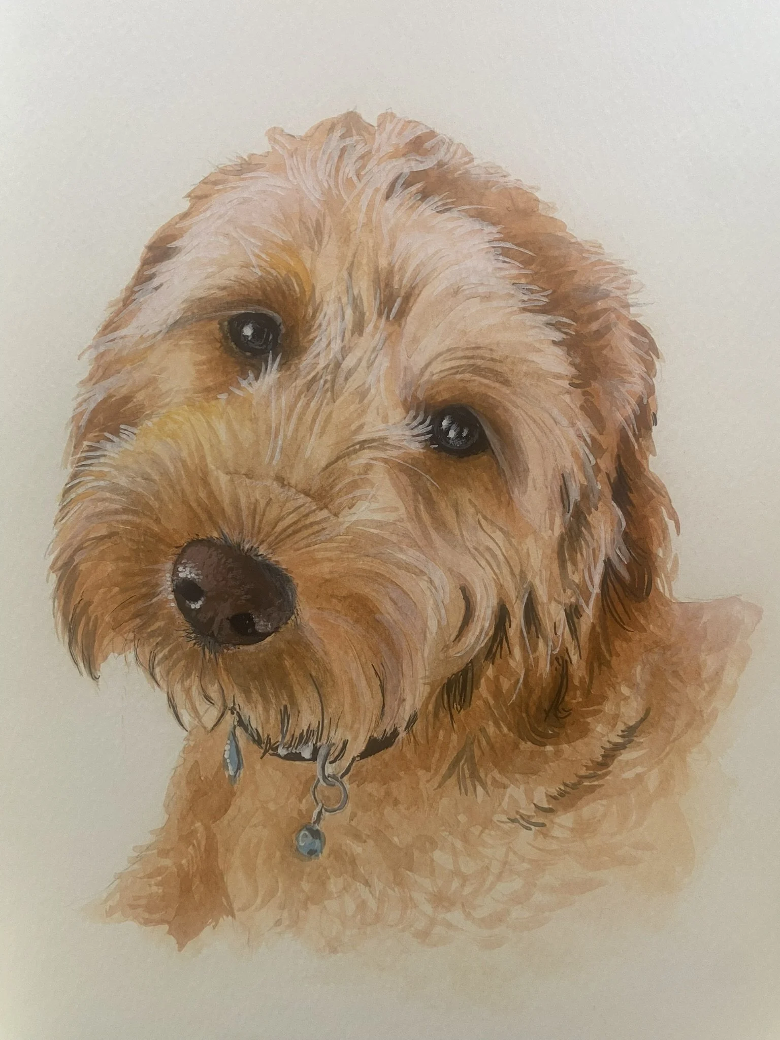 Watercolour painting of a Cockapoo dog with brown eyes, a black nose, a blue collar, and a blue tag, on a plain white background.