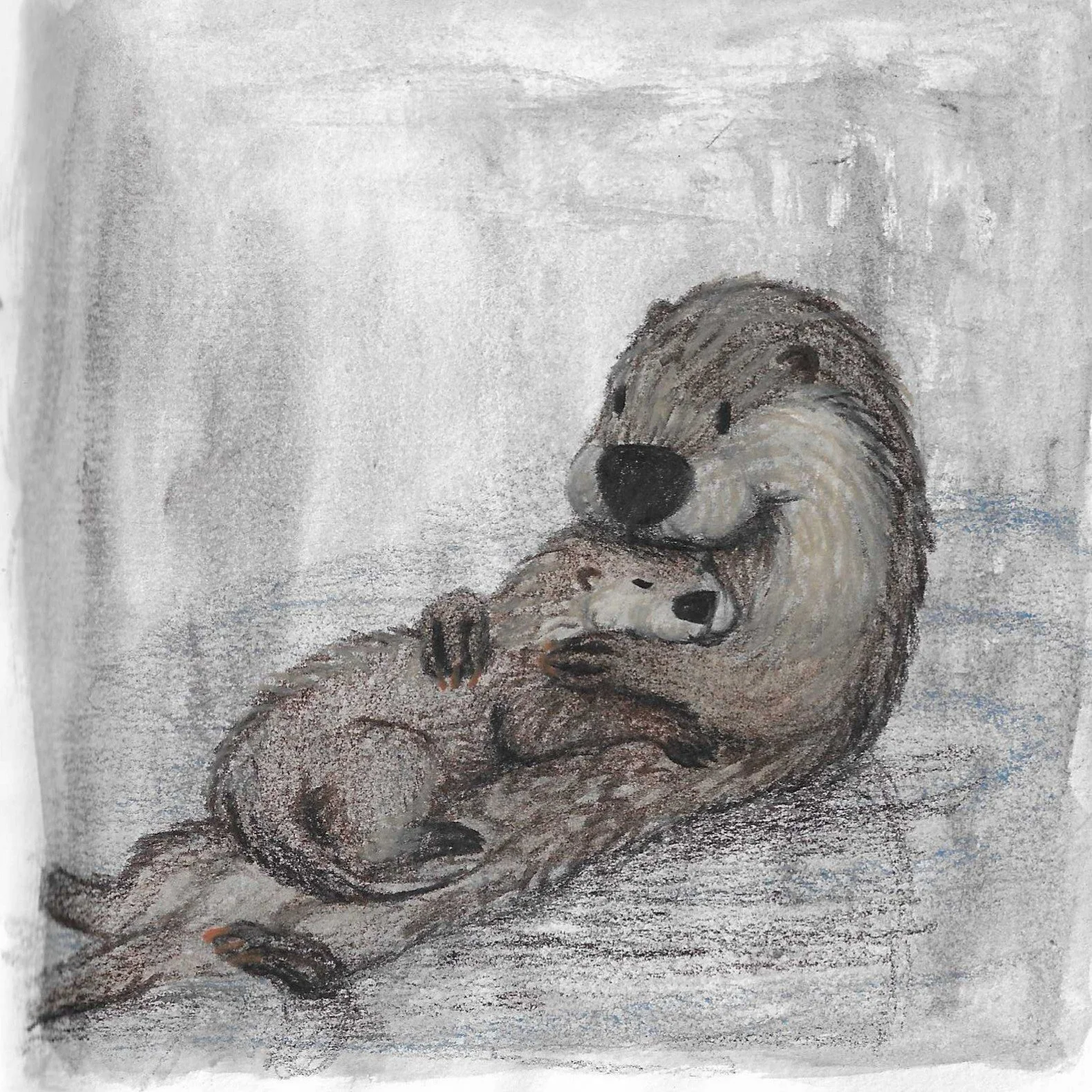 Drawing of two otters, a mother and baby on a watercolour background.