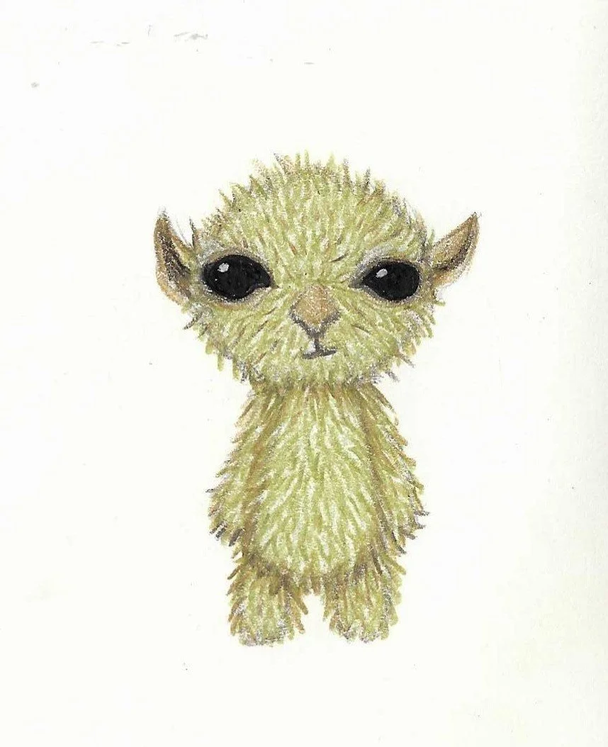 A cute, illustrator-style drawing of a small, furry creature with large black eyes, tiny ears, and a tiny nose, resembling a baby animal or fantasy creature, on a plain white background.