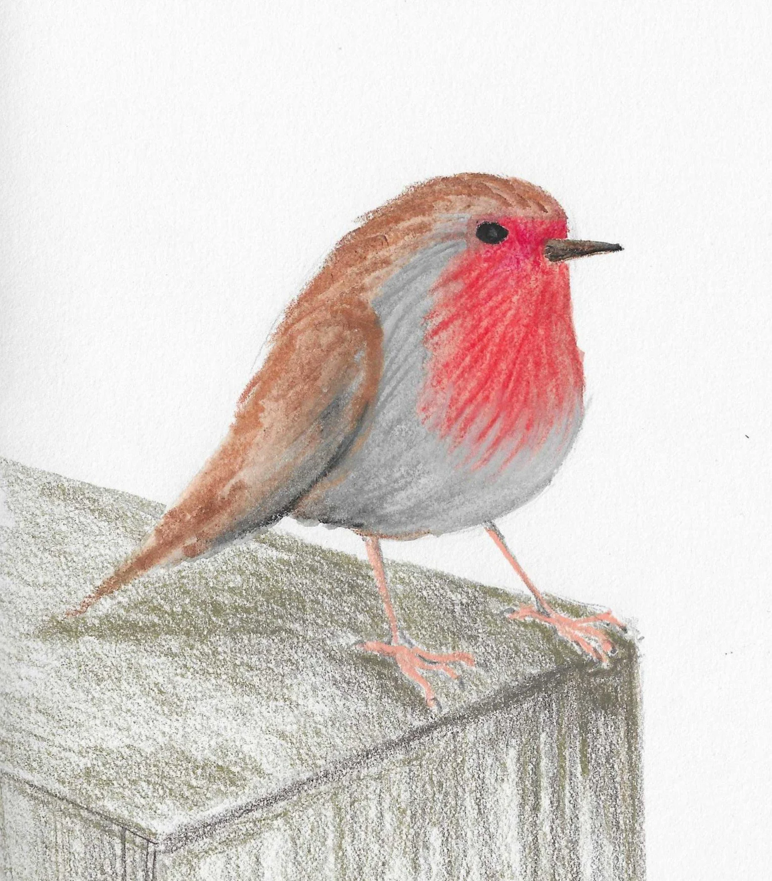 A watercolour painting of a robin bird with a red chest, brown and gray feathers, standing on a gray-green textured surface, against a plain white background.