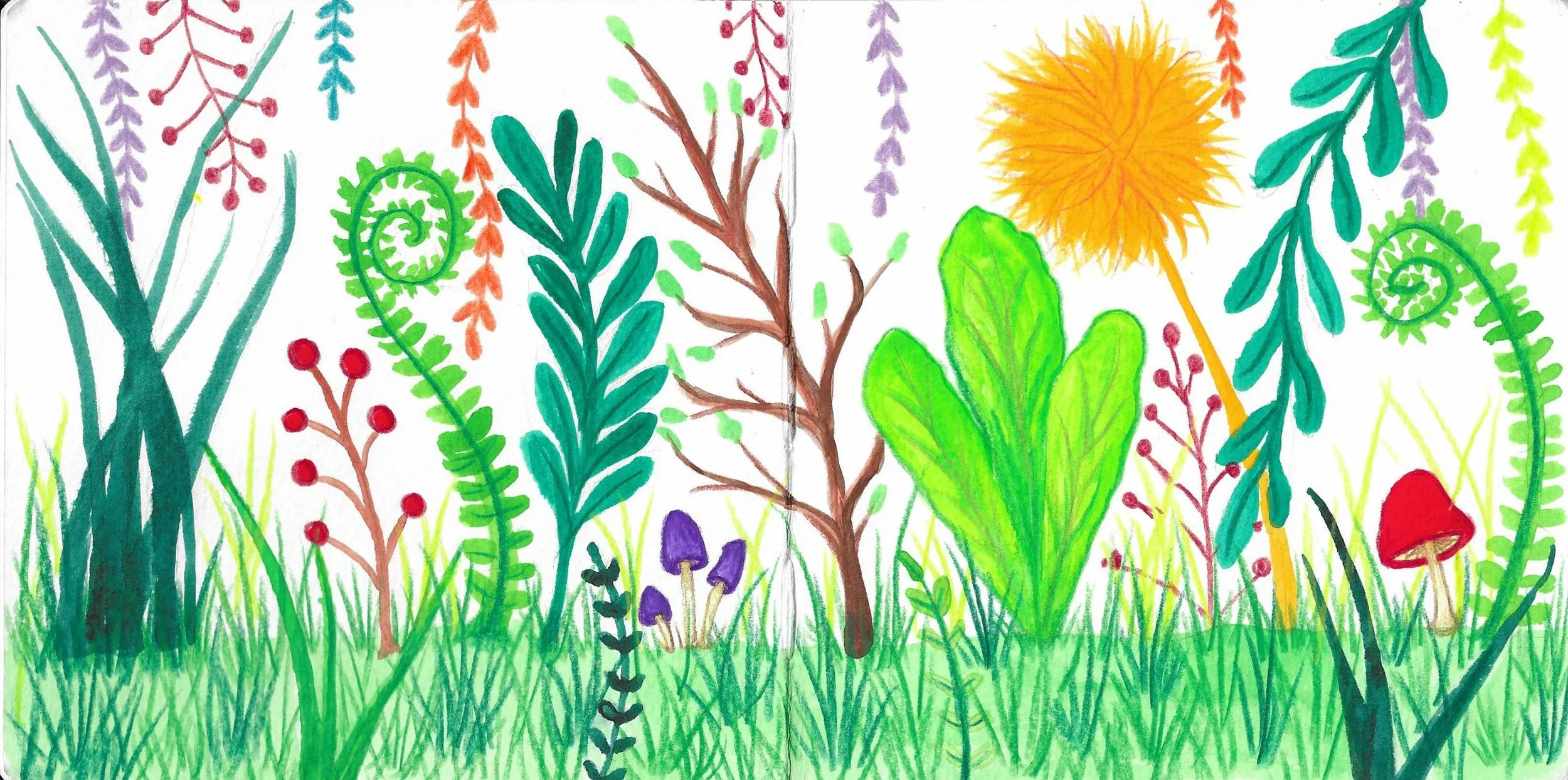 Colorful drawing of various plants, flowers, and grasses in a vibrant garden scene.