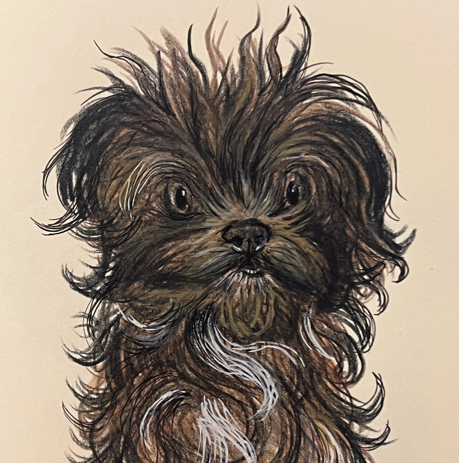 A detailed drawing of a small, fluffy dog with long, curly fur and expressive dark eyes.
