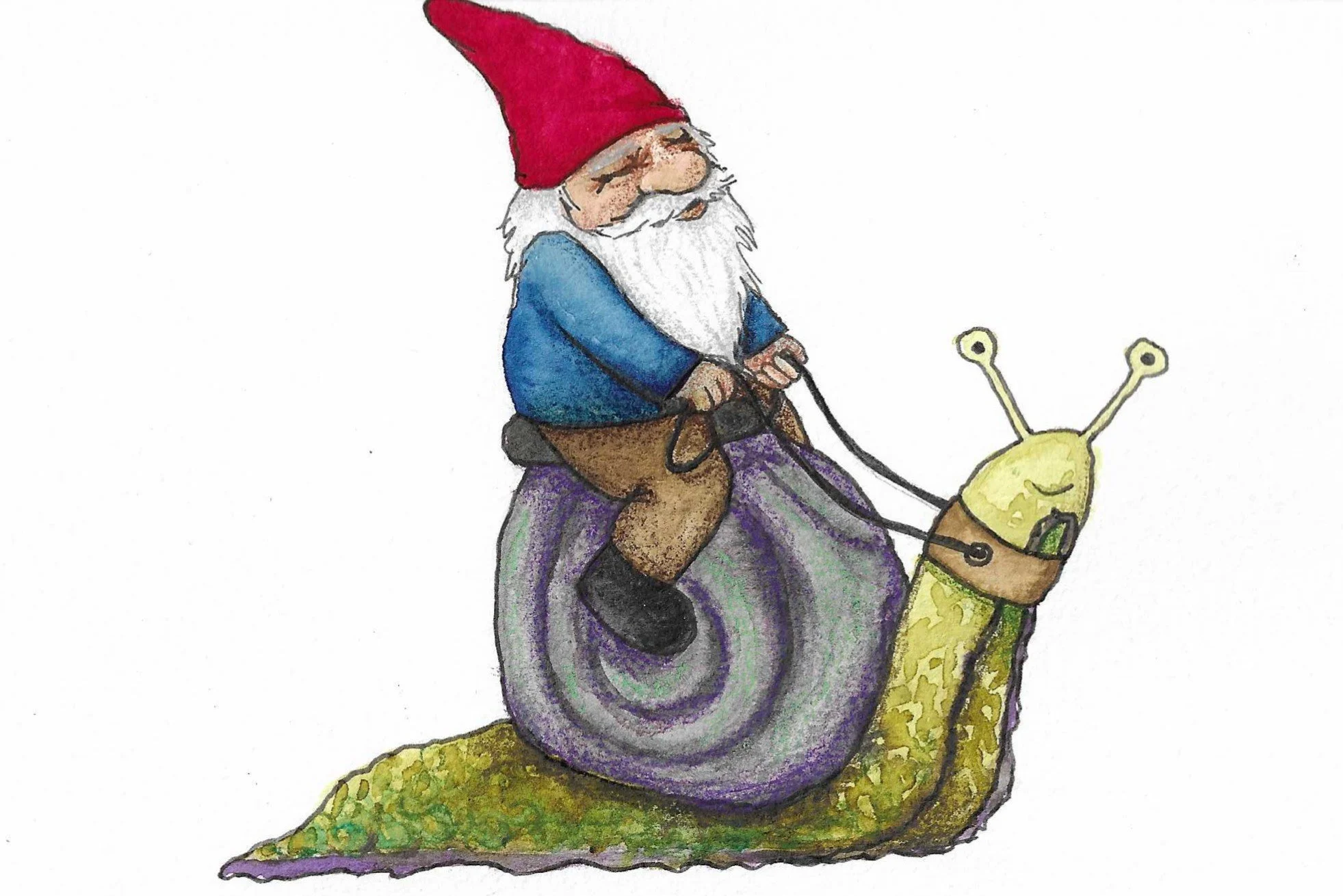 A hand-drawn image of a garden gnome with a long red hat, white beard, blue shirt, brown pants, and black shoes, sitting on a snail with a yellow shell and greenish body, with a black harness and reins, on a plain white background.
