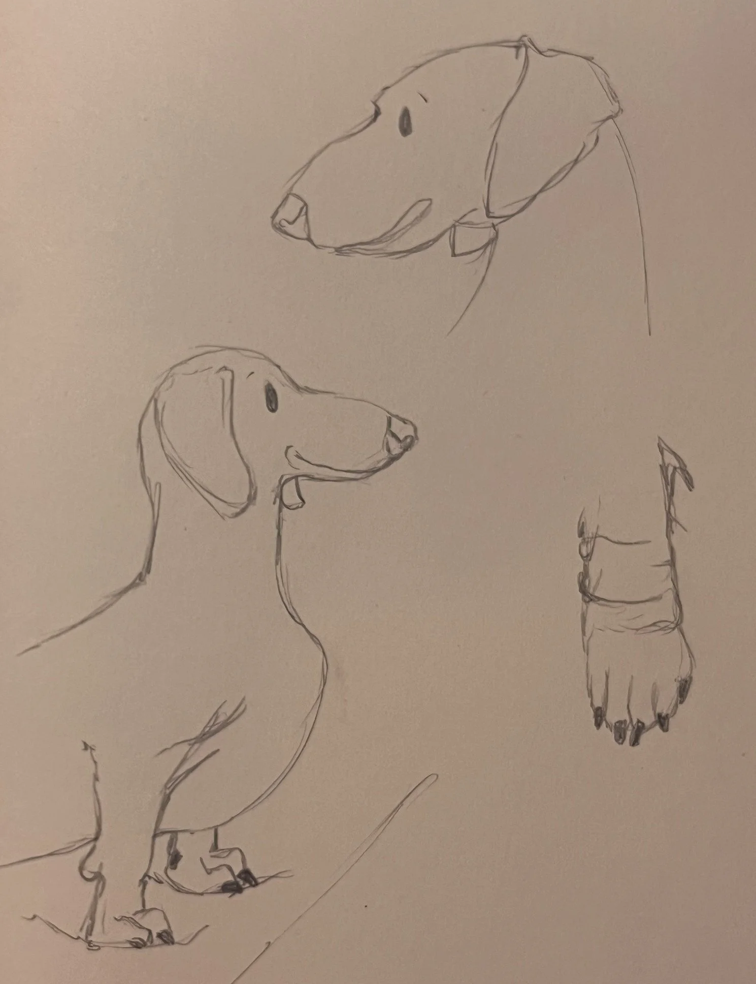 Sketch of dogs in different poses, one standing on hind legs with front paws raised, others in profile view.