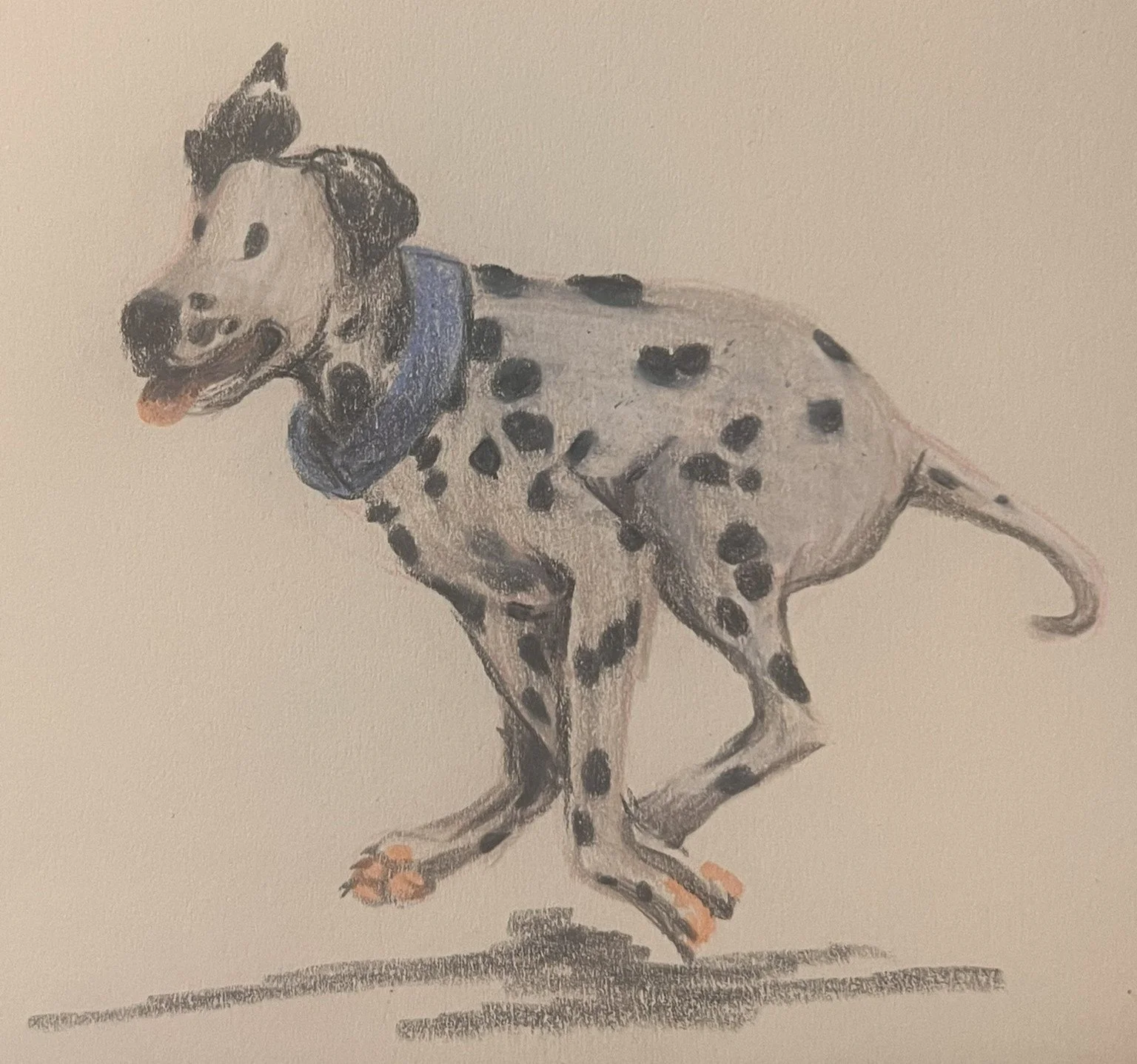 Watercolour painting of a Dalmatian dog with a blue collar, running and smiling on a plain background.