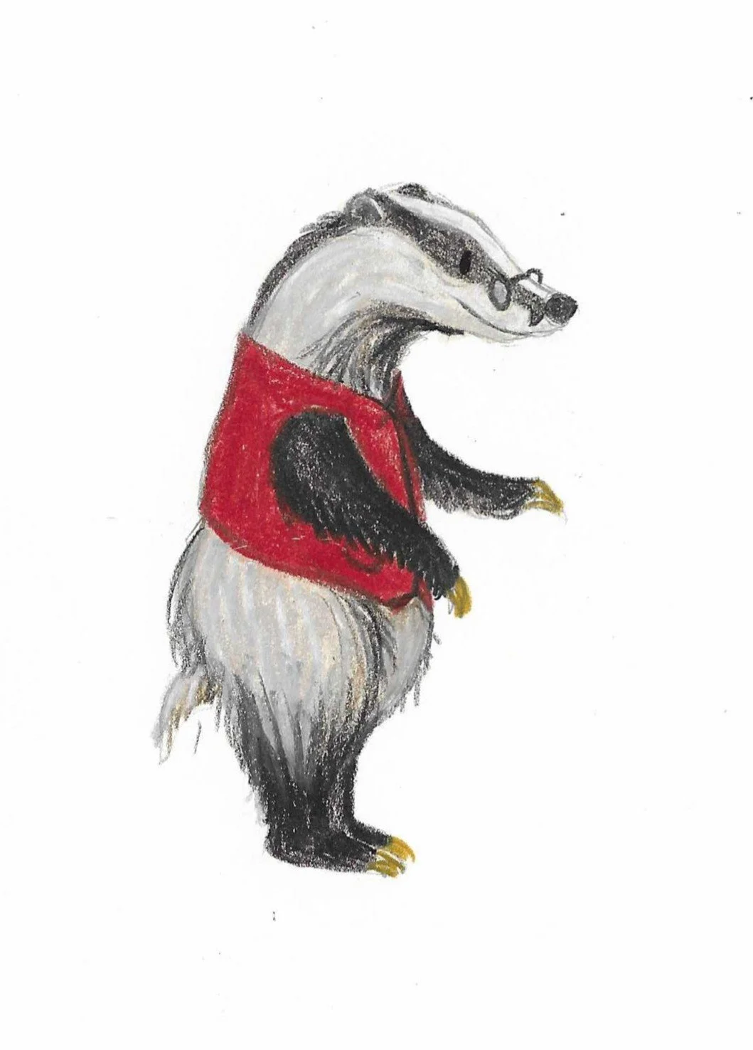 Drawing of a standing badger wearing glasses and a red vest with black sleeves.