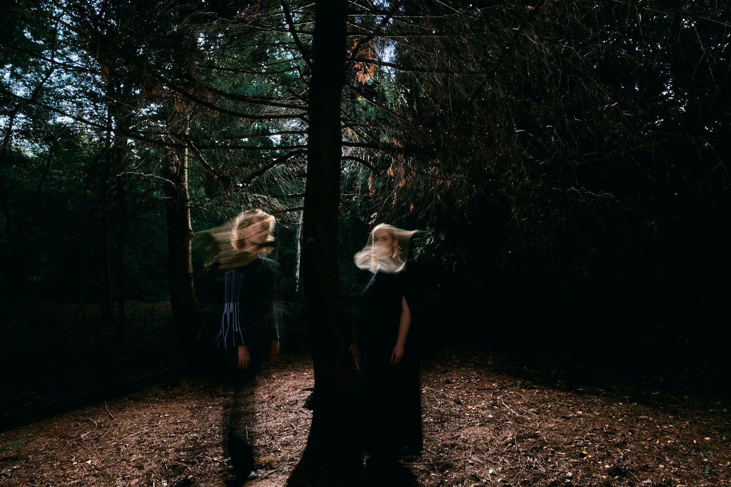 Two women with long blonde hair standing in a dark, wooded forest with blurred motion, suggesting movement or windy conditions.