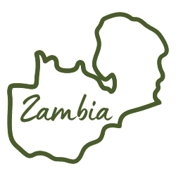 Outline map of Zambia with the word 'Zambia' written inside.