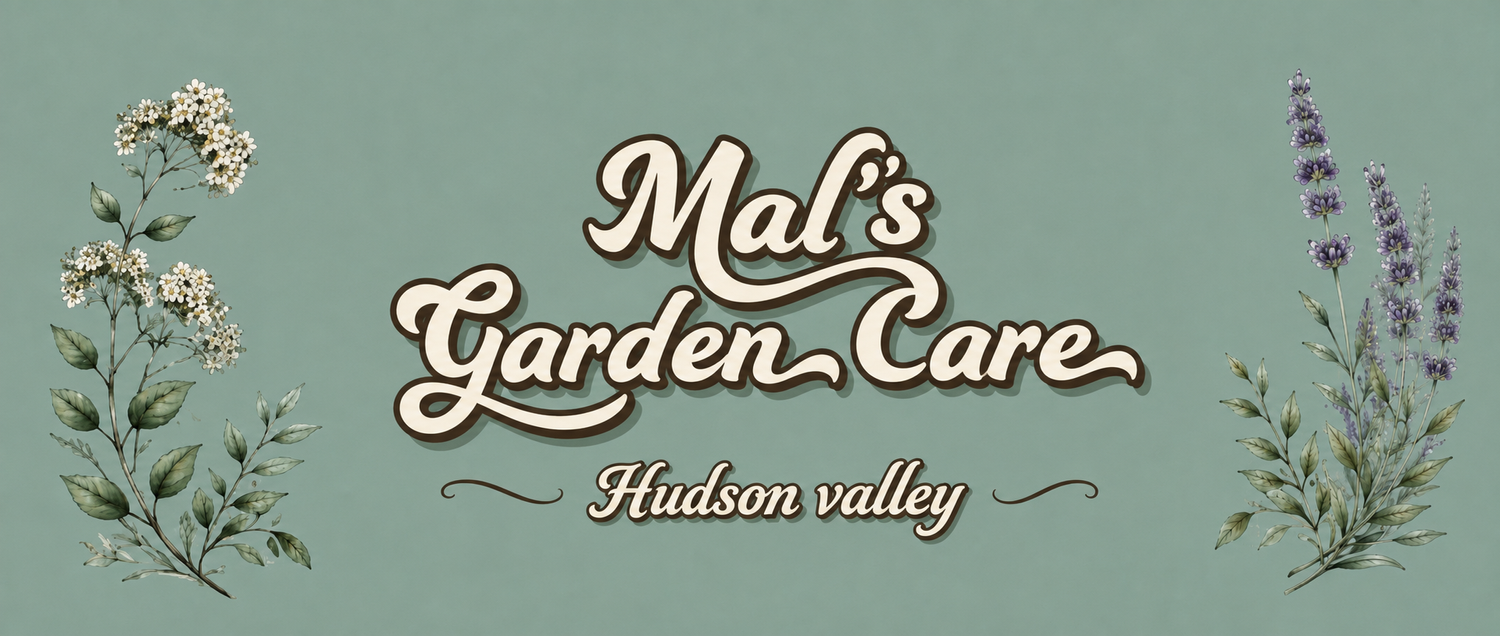 Mal's garden care