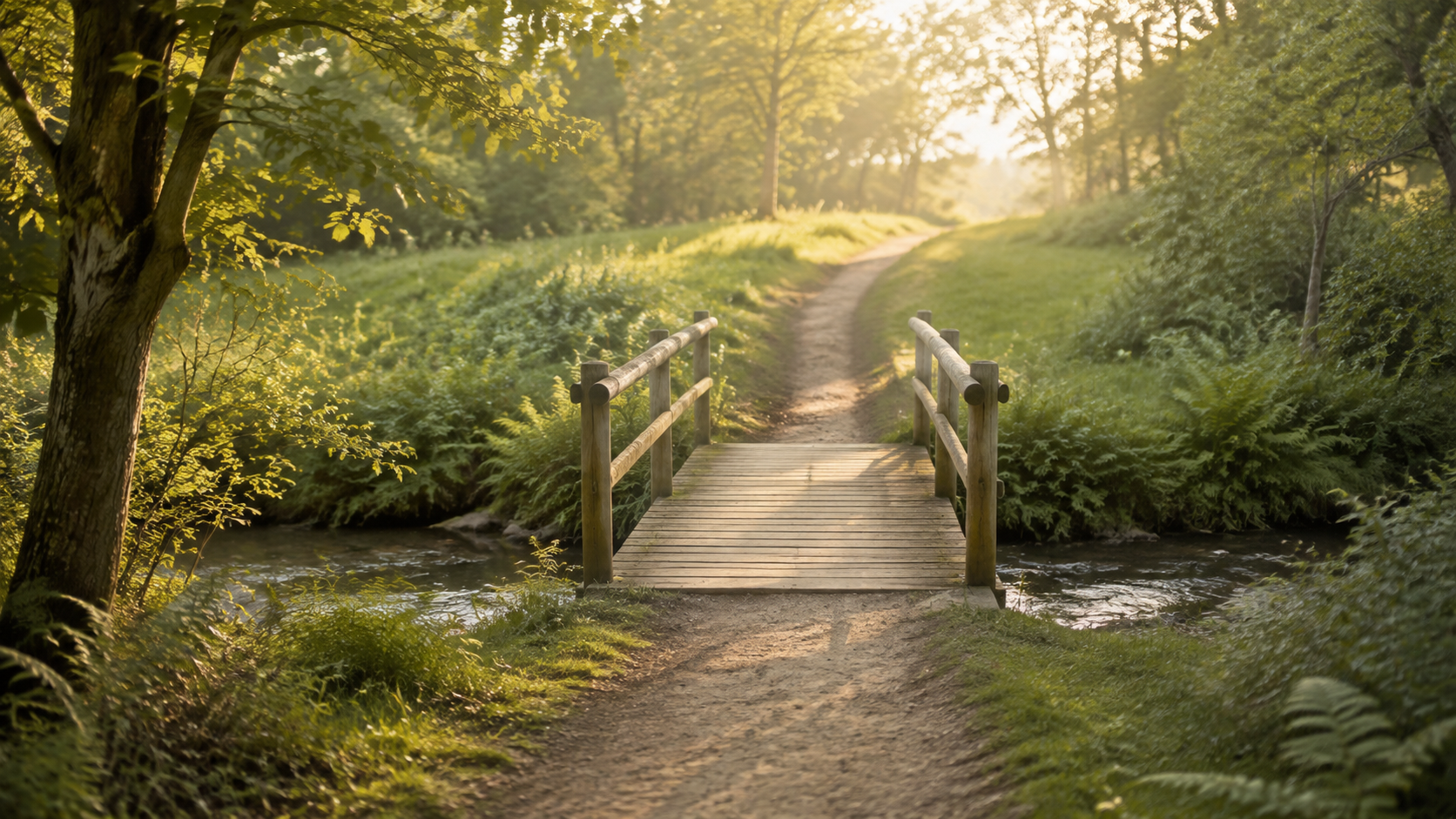 Holzbrücke über einen kleinen Fluss an einer Lichtung im Wald