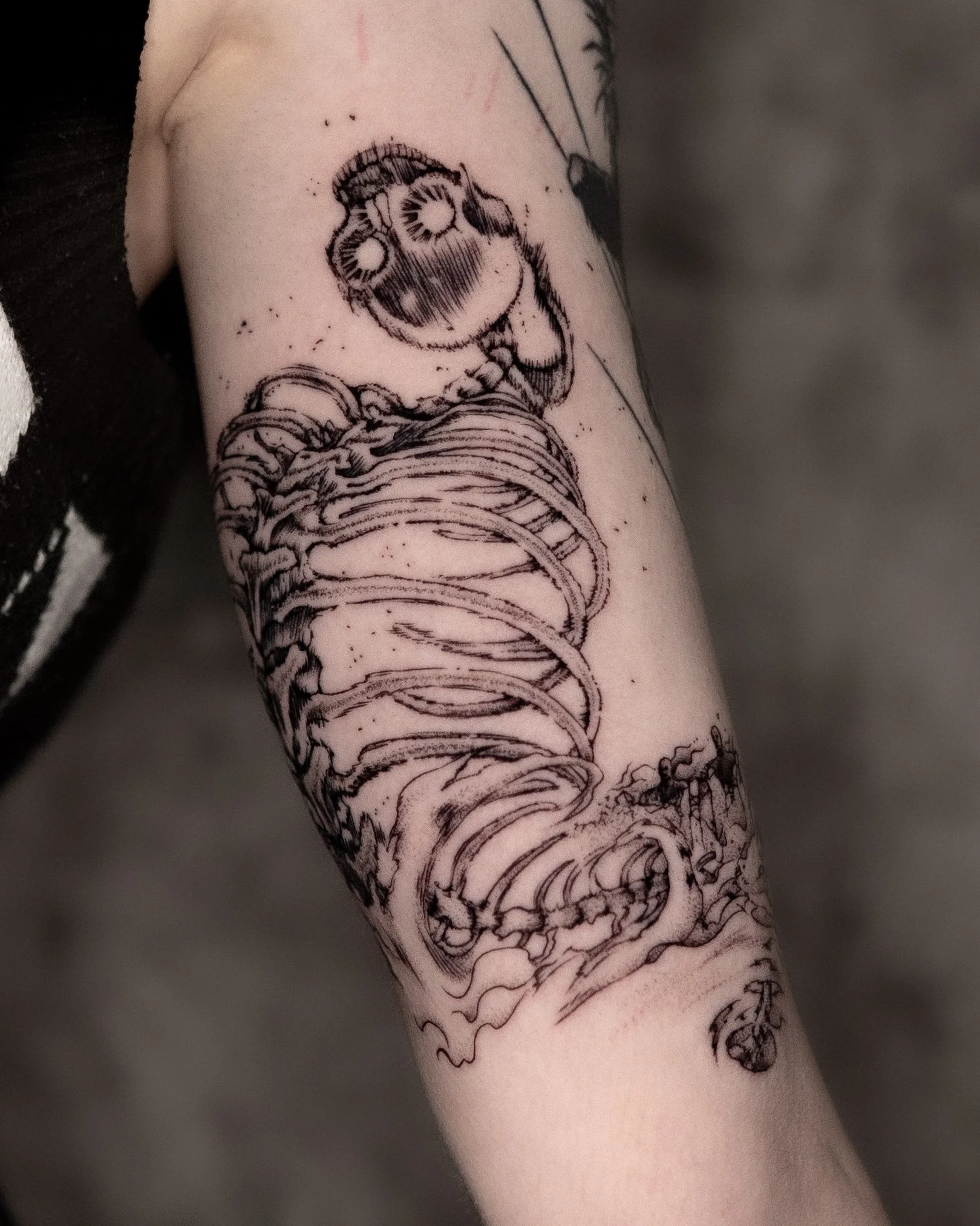 Tattoo van een ramenkoekoek op een arm met een spinnenweb-ontwerp onder.