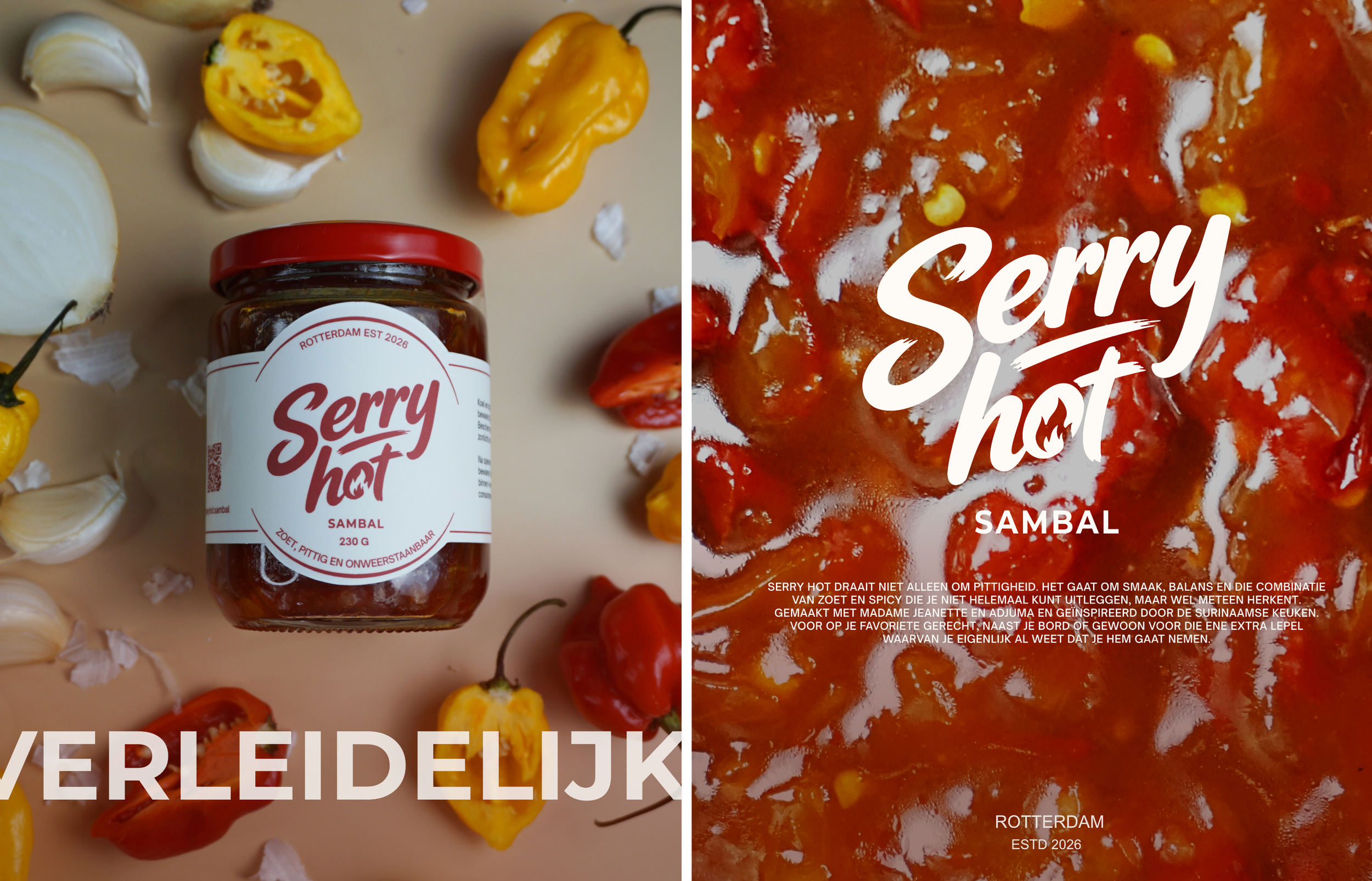 huisstijl en branding project