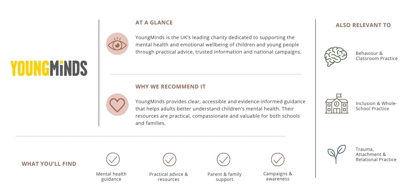 A charity information sheet for YoungMinds, highlighting their focus on supporting children's mental health through advice, resources, and campaigns, with icons representing mental health, community, and awareness.
