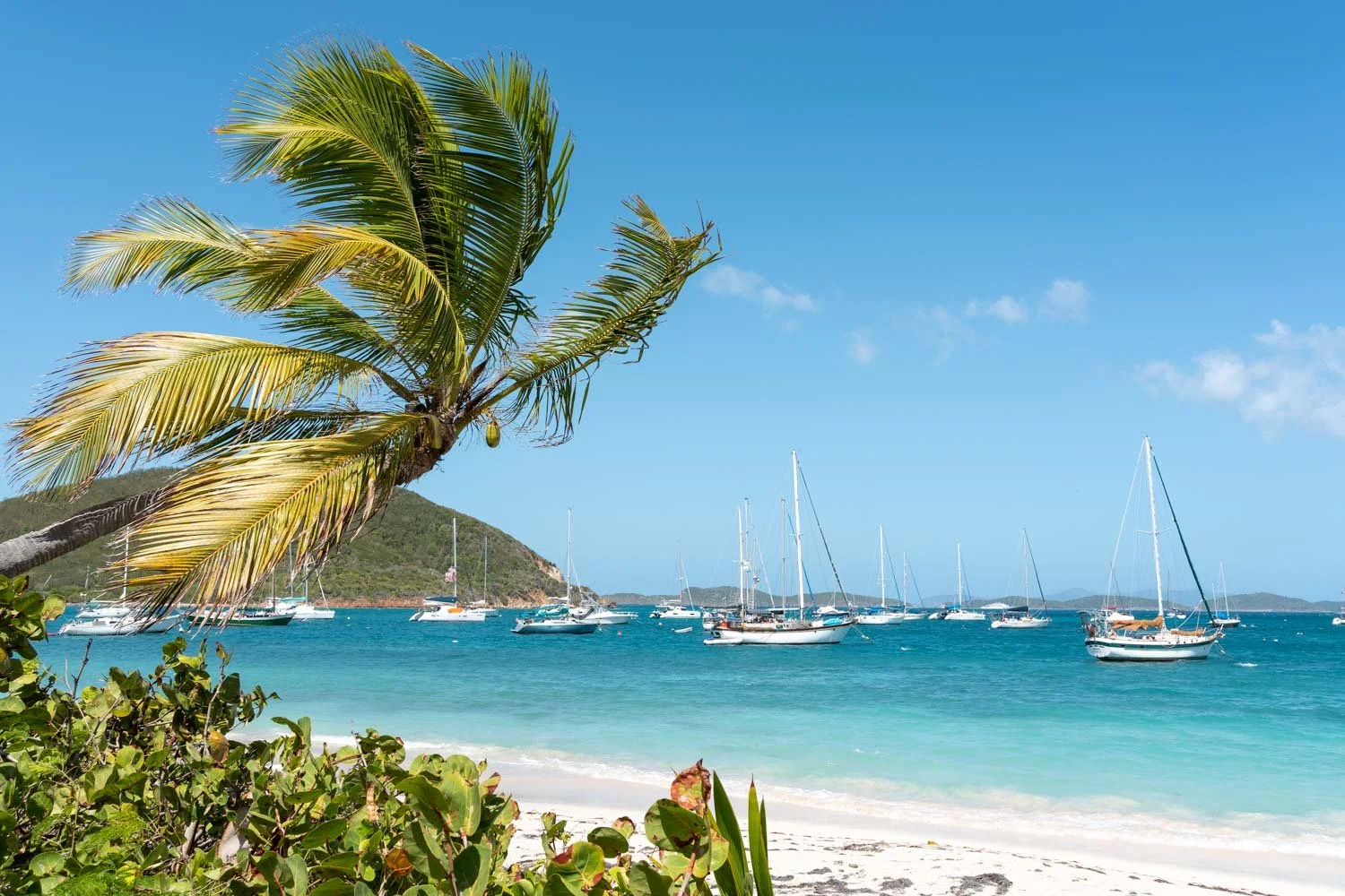 A tropical beach scene with a leaning palm tree in the foreground, sailboats anchored in turquoise waters, green hills in the distance, and a bright blue sky with a few clouds.
