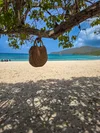 About | Discover & Explore - Book Your Adventure — Jays experience
