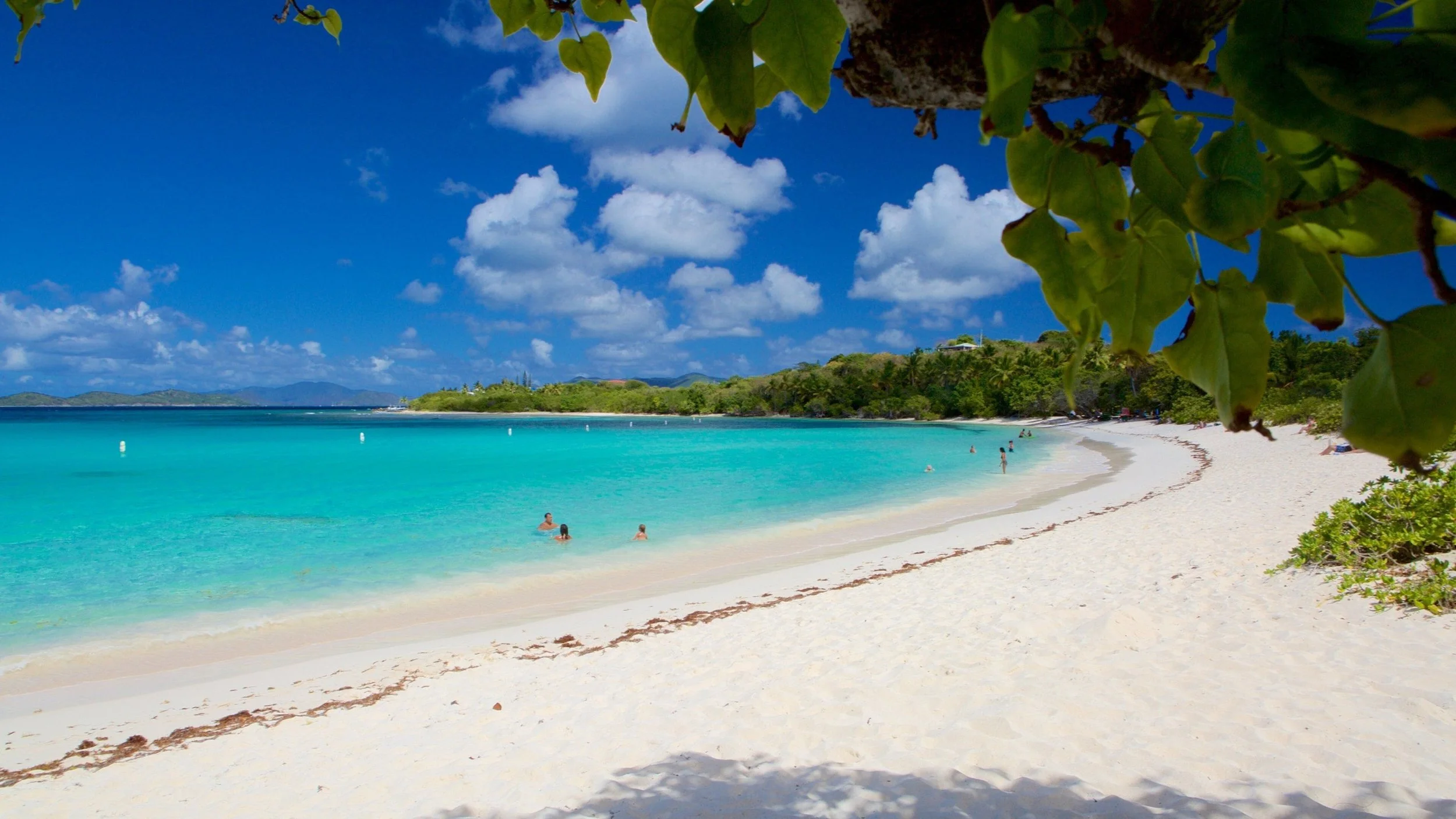 Turquoise ocean water at a sandy beach with a few people swimming, surrounded by green trees and hills, under a blue sky with some clouds. Overhanging leaves in the foreground.