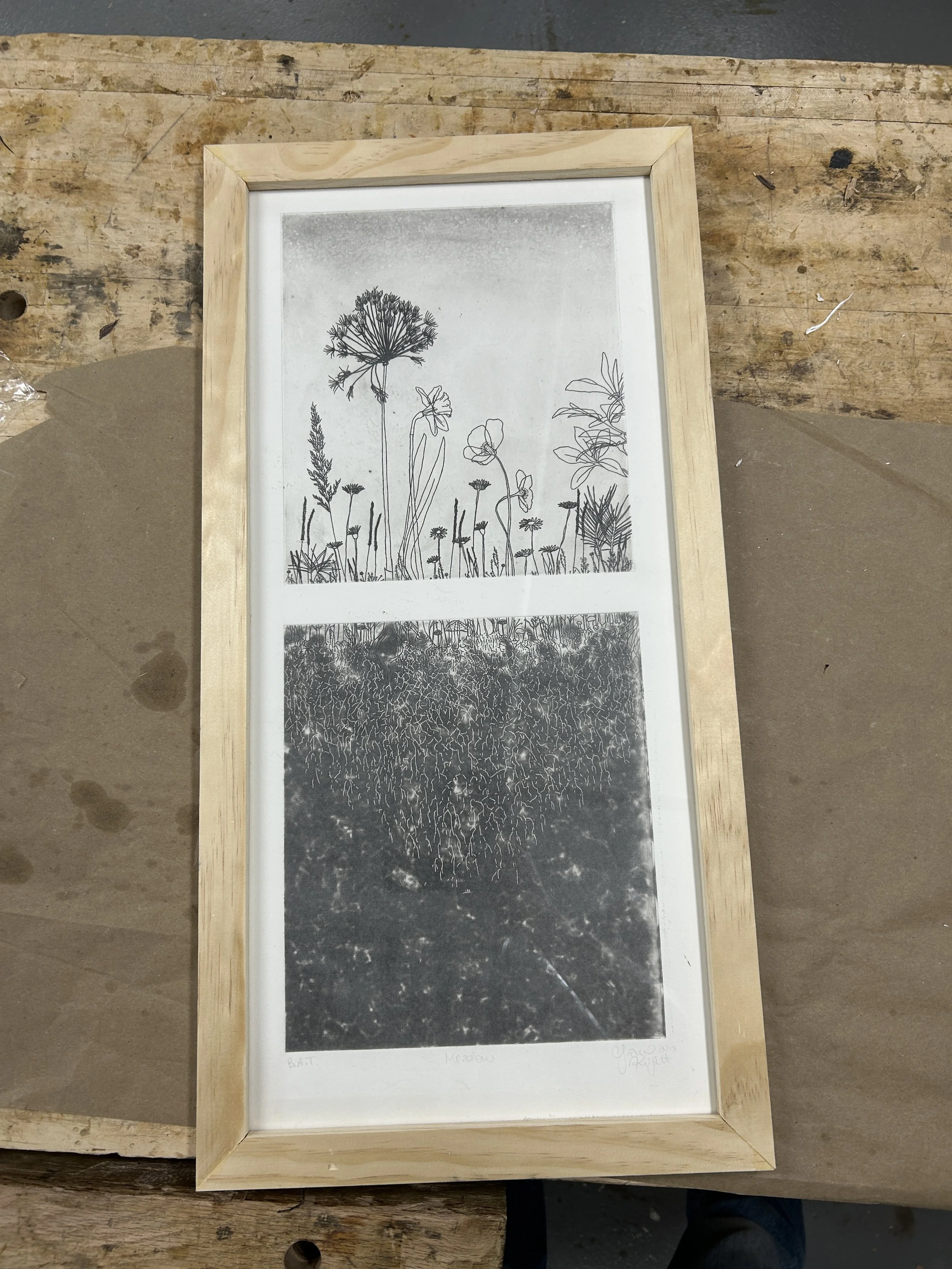 Meadow Print 2018
