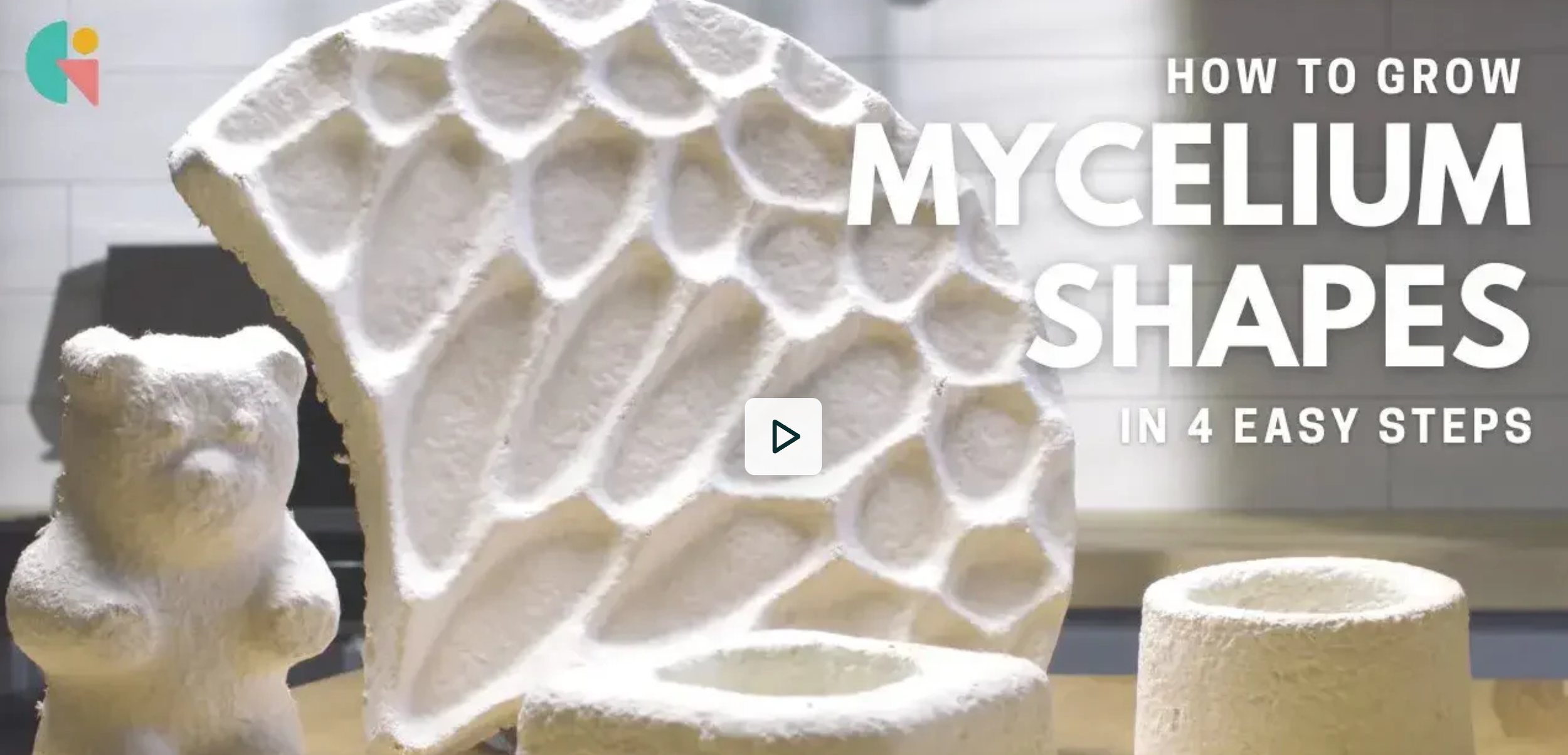 how-to-grow-mycelium-shapes