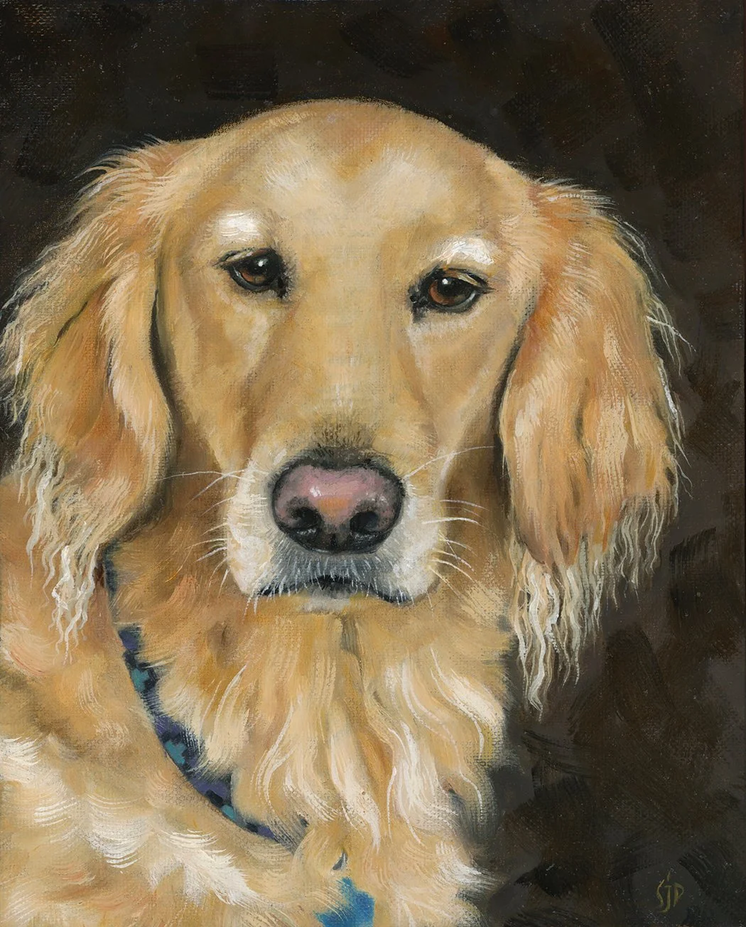 Pet Portraits