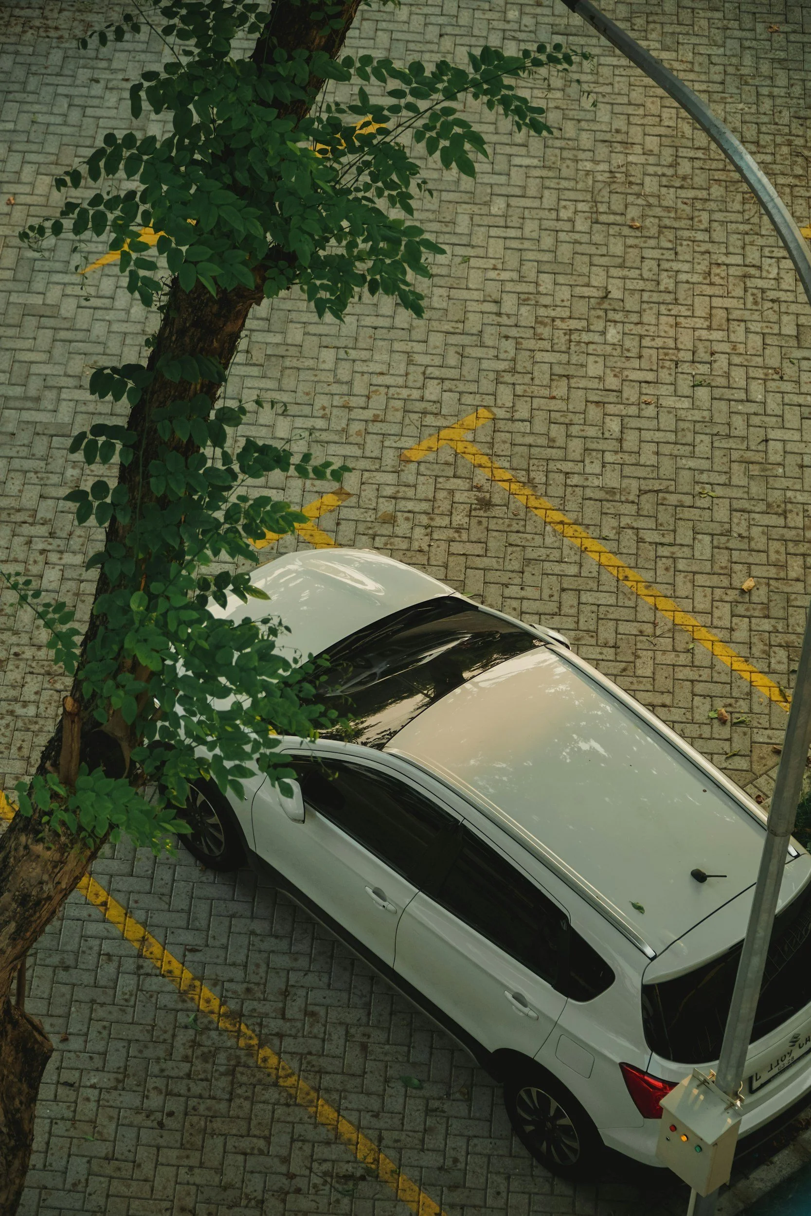 Stop Driving Backwards: A Hopeful Shift Toward Your Future