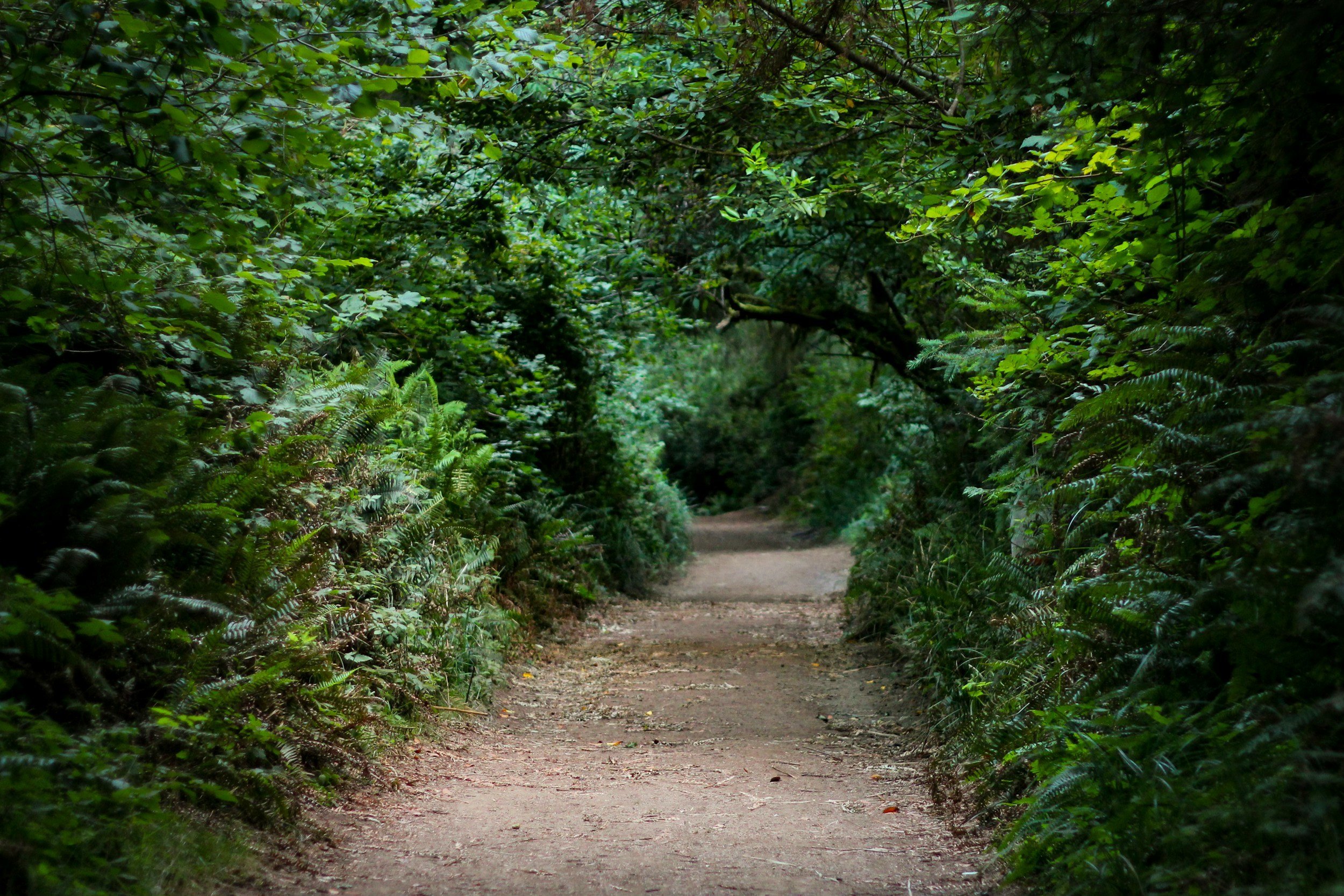 Choosing Your Path Forward: A Realistic Look at Embracing Change