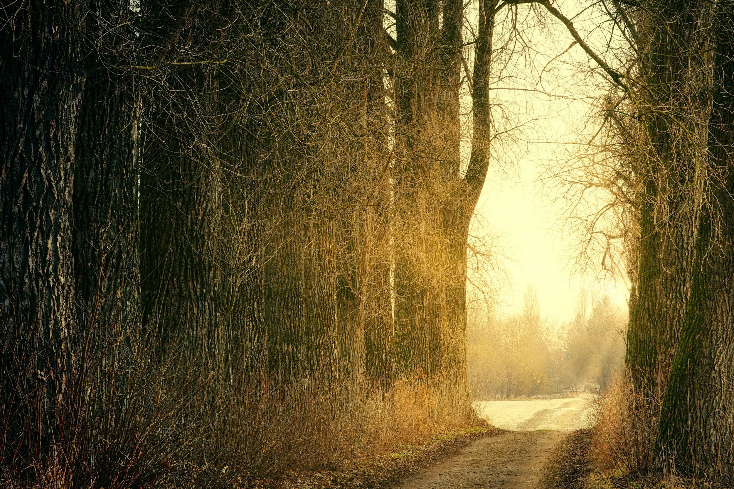 What The Gifts of Imperfection Teaches Us About Letting Go and Living Authentically