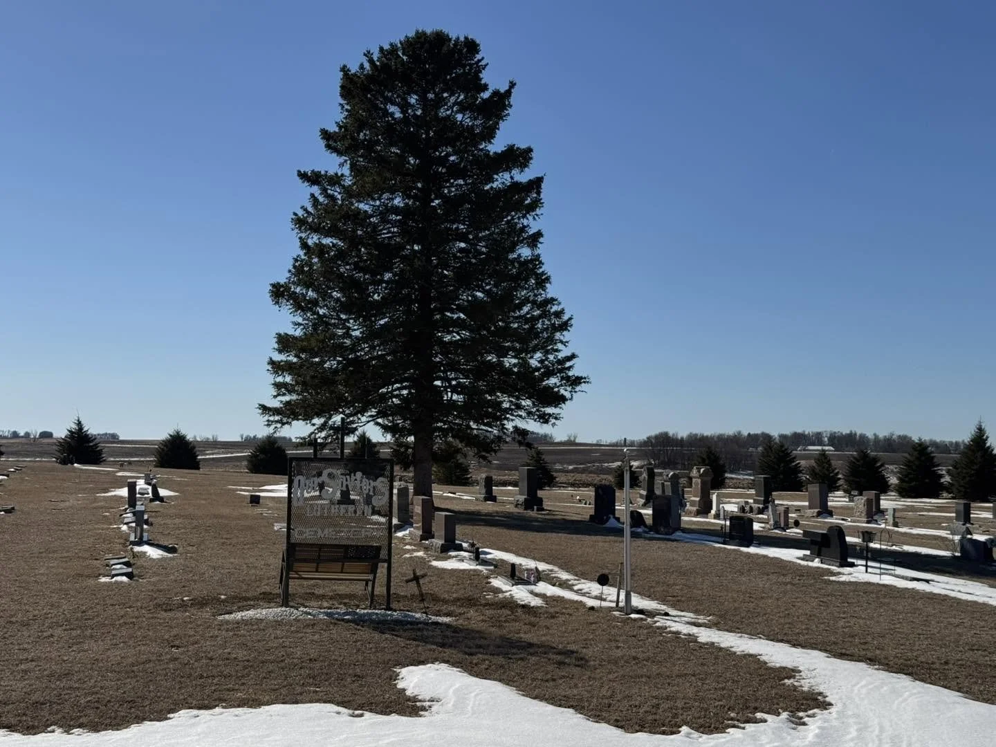 A cemetery with numerous tombstones on a clear day with some snow patches on the ground, a large pine tree in the center, and smaller pine trees in the background.