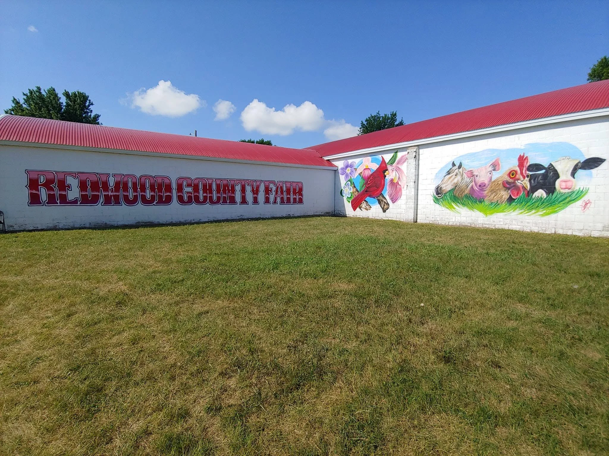A mural on a white brick wall shows farm animals including a pig, a cow, a chicken, and a black pig, under a blue sky with some clouds. To the left, a sign reads 'Redwood County Fair' in large red letters.